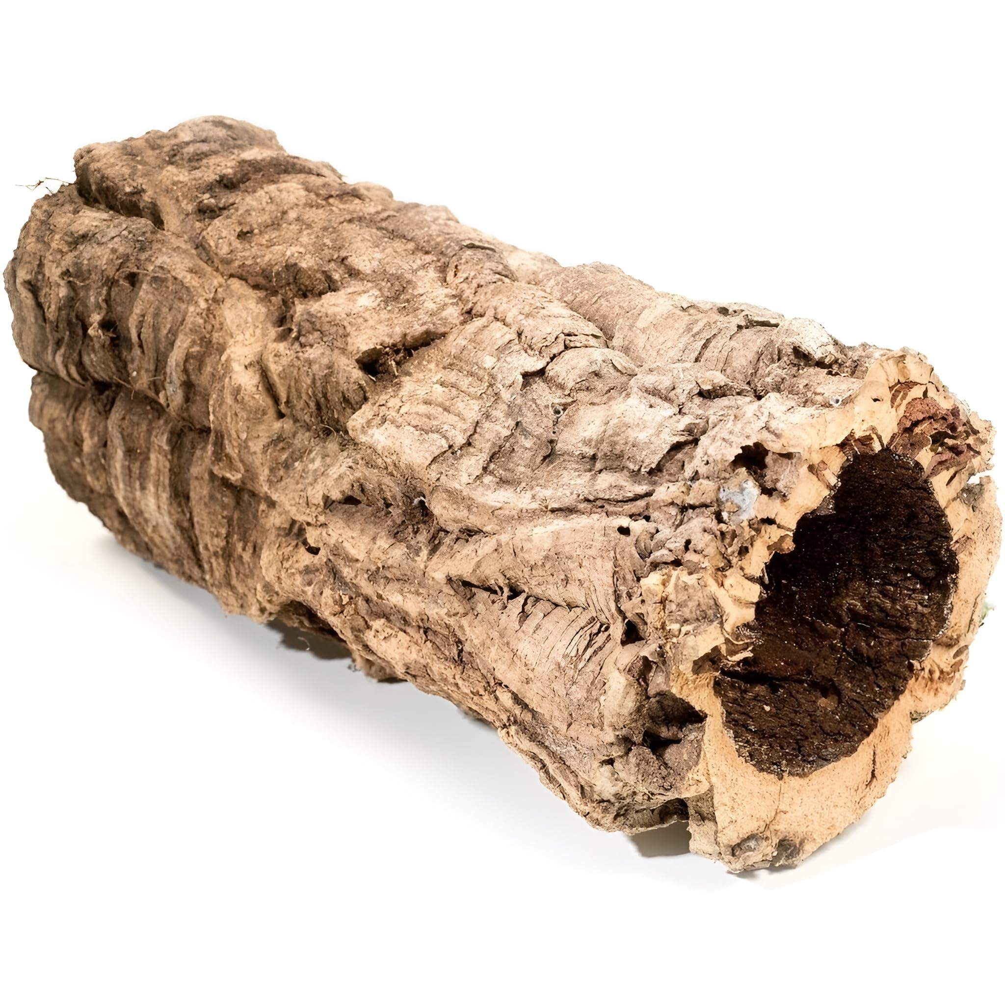 Cork Bark Tube 30 cm Length - Medium Cork Bark for Reptiles, Terrariums & Vivarium Decoration