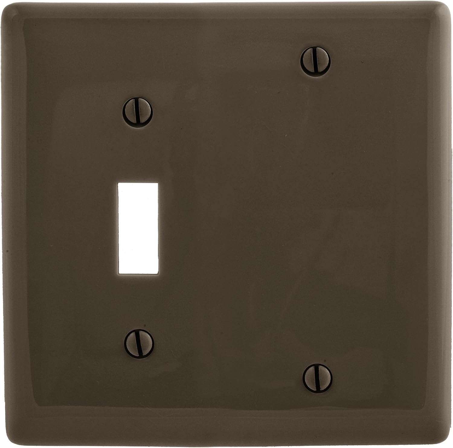 Bryant Electric P113W 2-Gang Toggle and Blank Wallplate, White