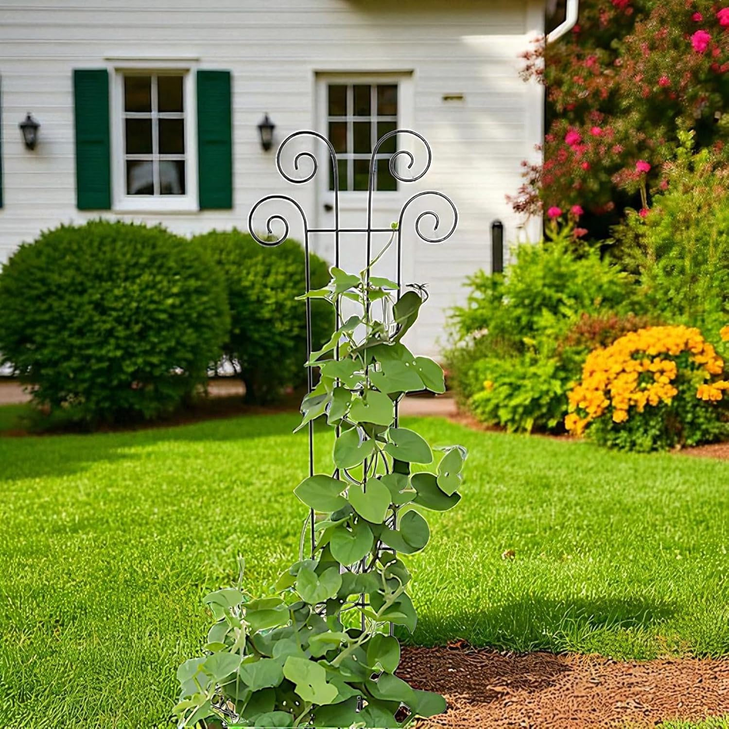 Hosley's 48" High Set of 2 Wave Iron Trellis Ideal Gift for Floral Arrangements Wedding or Party and Use Next to Structures Home or Office or in Planters for Growing Floral Plants Vines and Vegetables