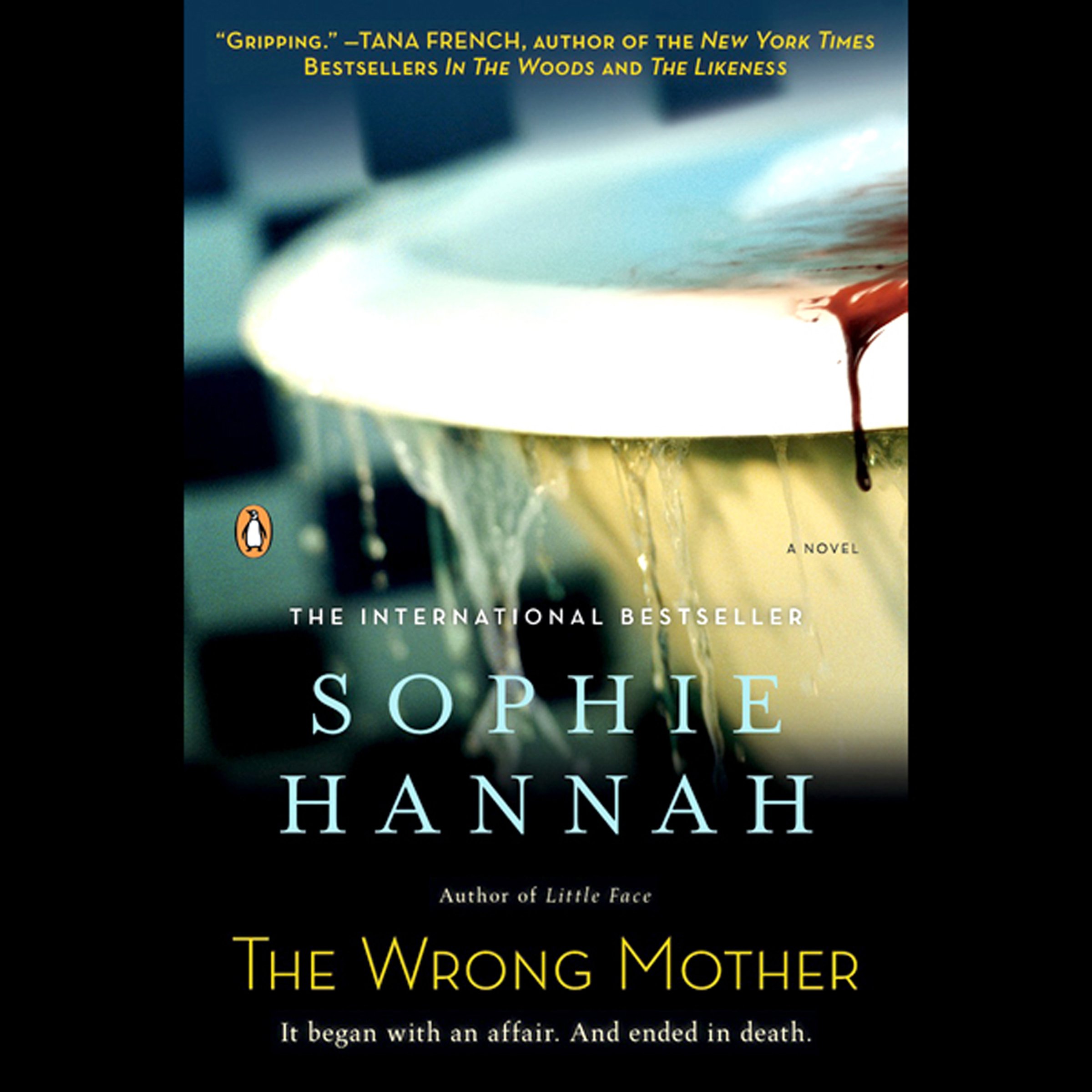 Cover art for The Wrong Mother