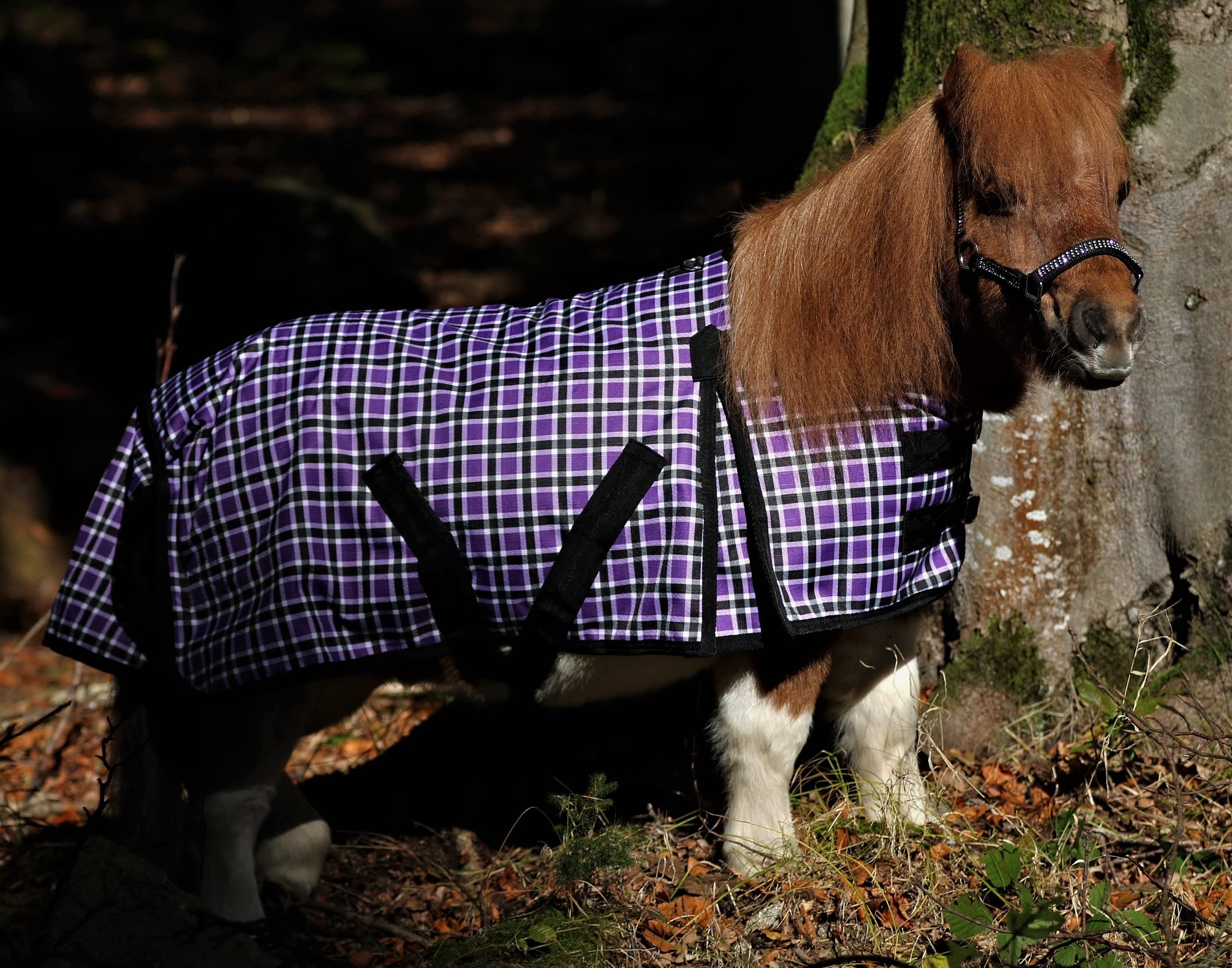1200 Denier Regendecke Outdoordecke Karo Lila Fleece Lining o Gramm 65 70 75 85 95 100 cm Tysons Minishetty Mini Shetty Minipony (65)