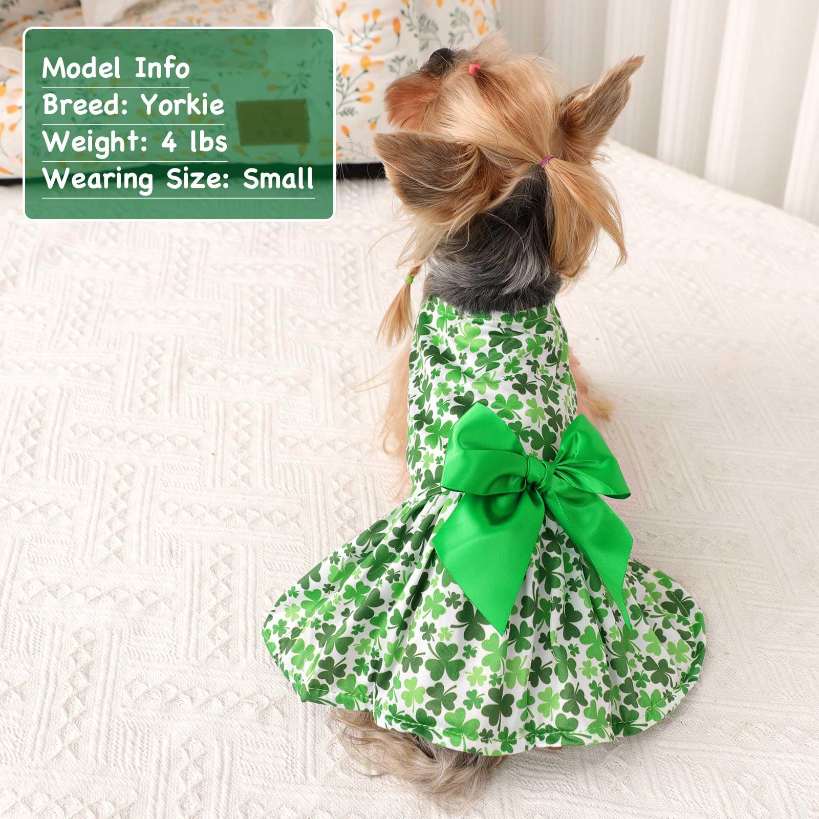 St. Patrick's Day Dog Green Dress for Small Dogs GirlFour Leaf Outfits  Skirt for DogPuppy Dresses Clover ClothesPet Dress Puppy Shirt Yorkie  Chihuahua Cat Clothes Costume with Bow Female(WhiteM) : Amazon.sg: Pet