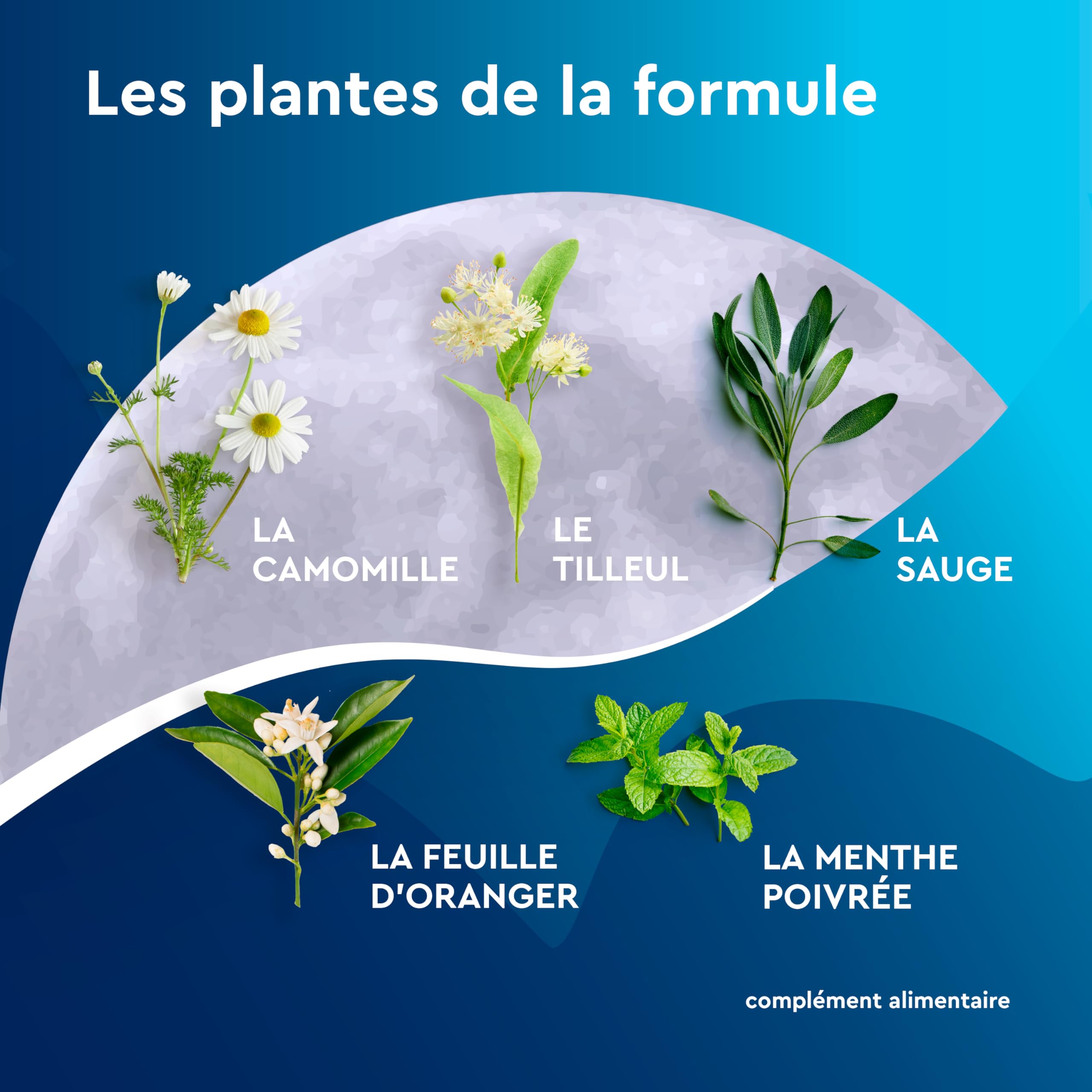 EuphytoseNuit Sachet - Complément alimentaire sommeil adulte - Mélatonine 1mg Endormissement rapide - Feuille d'Oranger - 3 Packs de 20 Sachets à infuser - 20 nuits de sommeil - Fabriqué en Europe