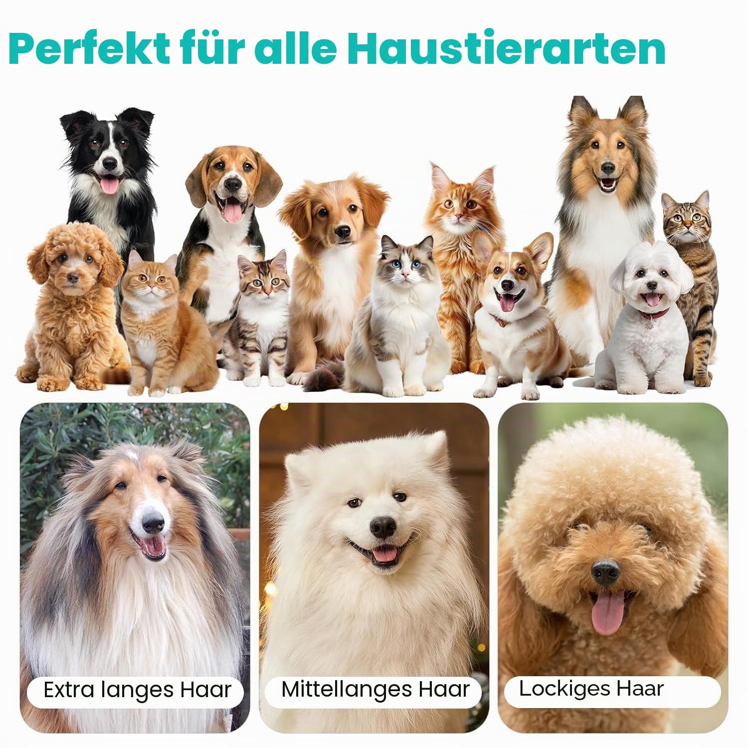 Neakasa P1 Pro Hundeschermaschine mit Staubsauger, leise Schermaschine Hund Katze, Profi Haustierpflegeset, Tierhaarschneidemaschine, elektrische Hundetrimmer mit 5 bewährten Pflegewerkzeugen