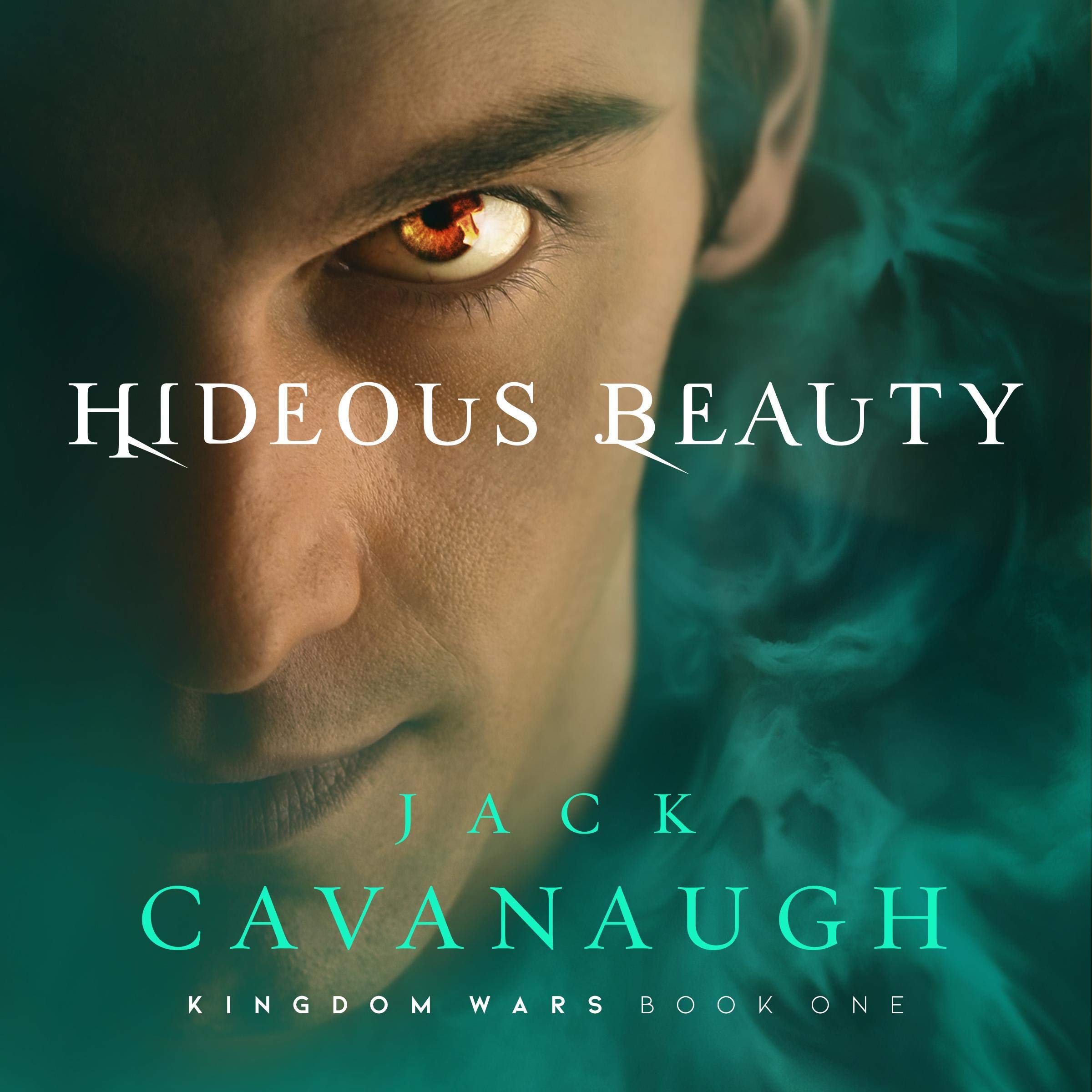 Cover art for Hideous Beauty