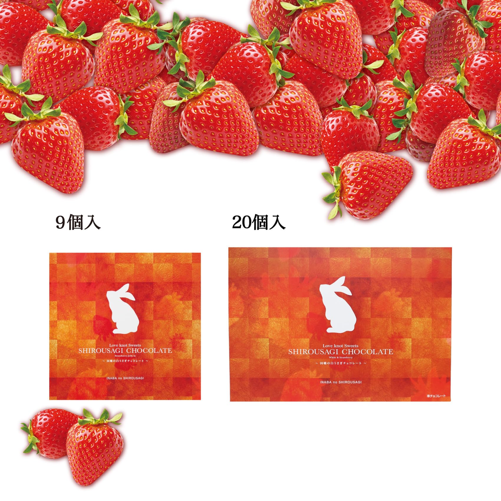 Amazon | 寿製菓 バレンタイン 因幡の白うさぎチョコレート9個入 苺の