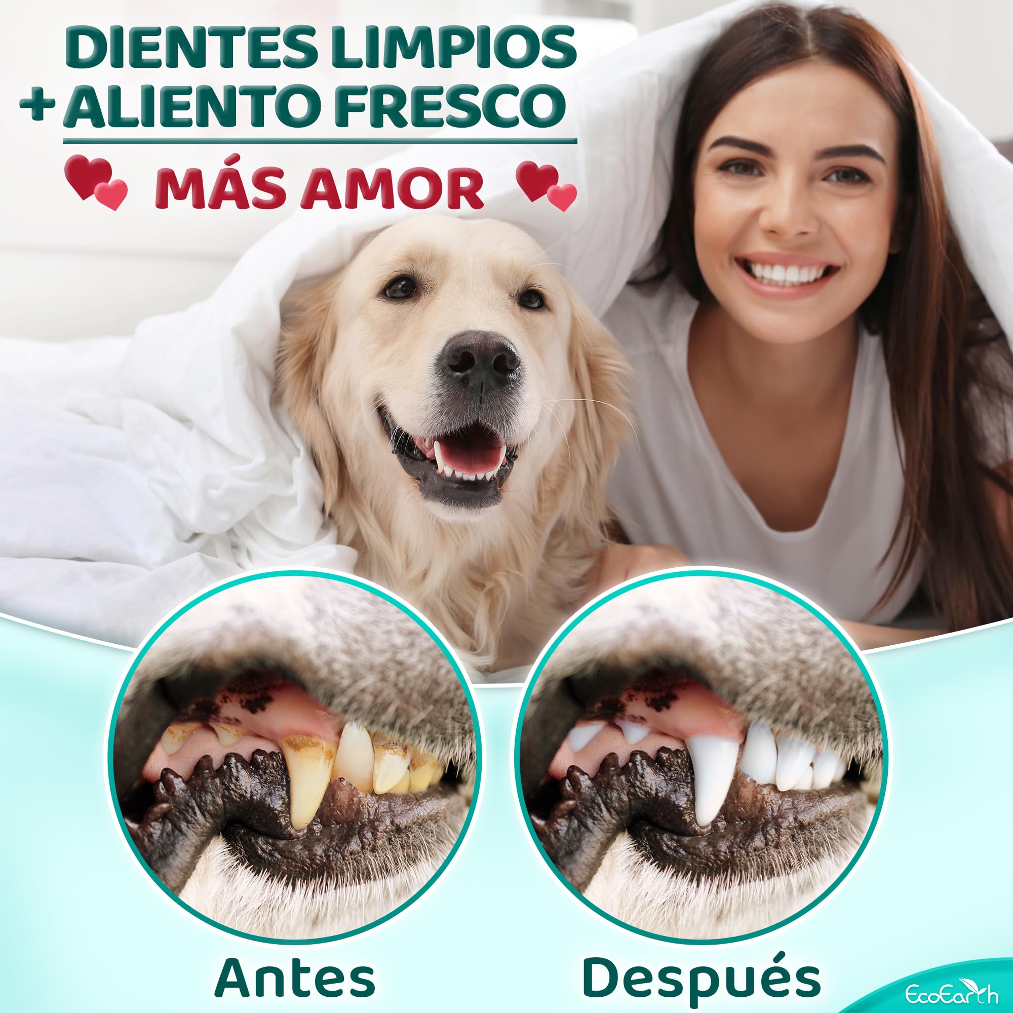 EcoEarth Toallitas de Limpieza Dental Premium para Perros y Gatos - 100 Piezas - Almohadillas para los Dedos para el Cuidado Dental de Mascotas para un Aliento Fresco y una higiene bucal