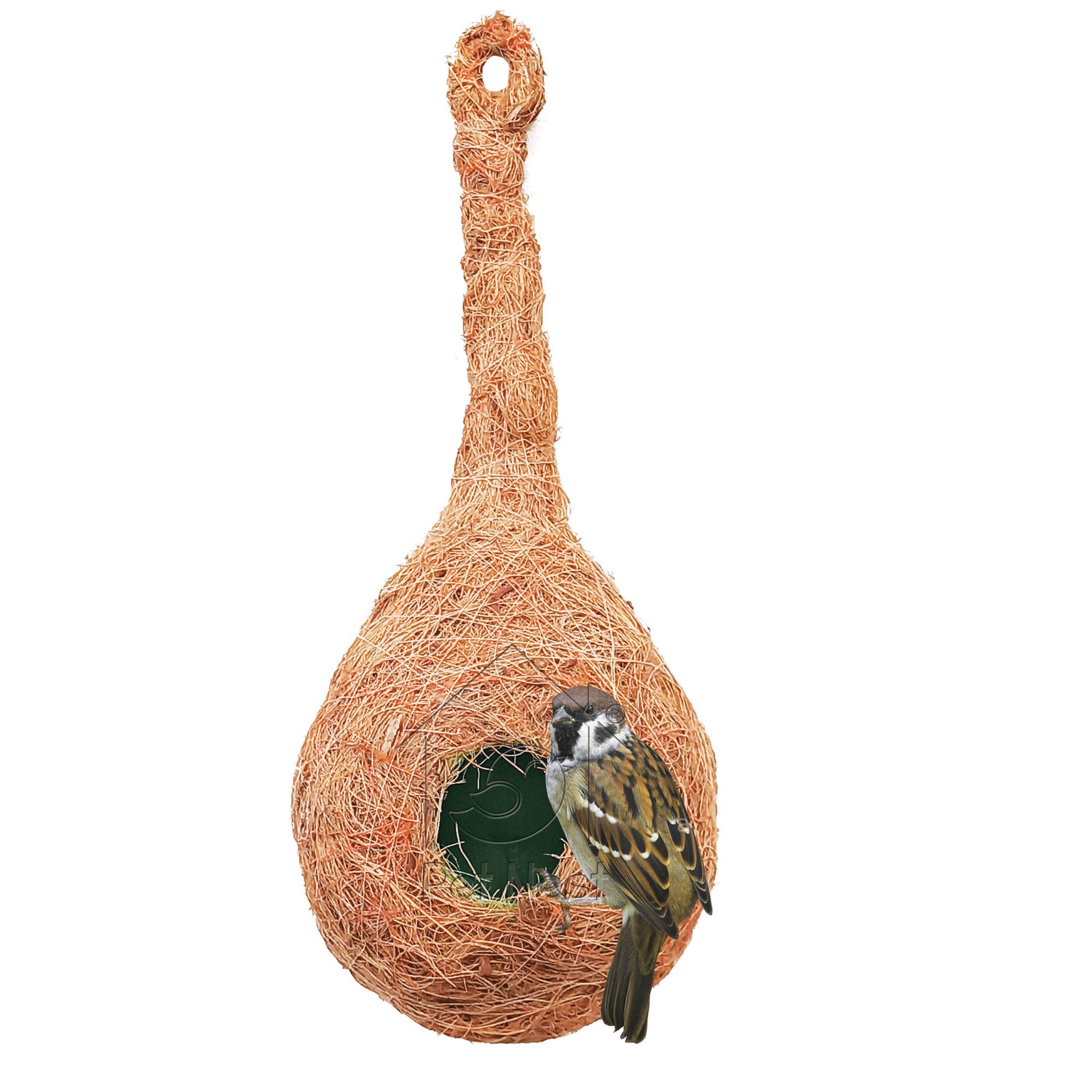 PetNest CR-1 Quality Safest Round Organic Bird Nest Purely Handmade Love Birds/Sparrow (Brown) (1 Nos) (B08VRQS6PF) Amazon Price History, Amazon Price Tracker