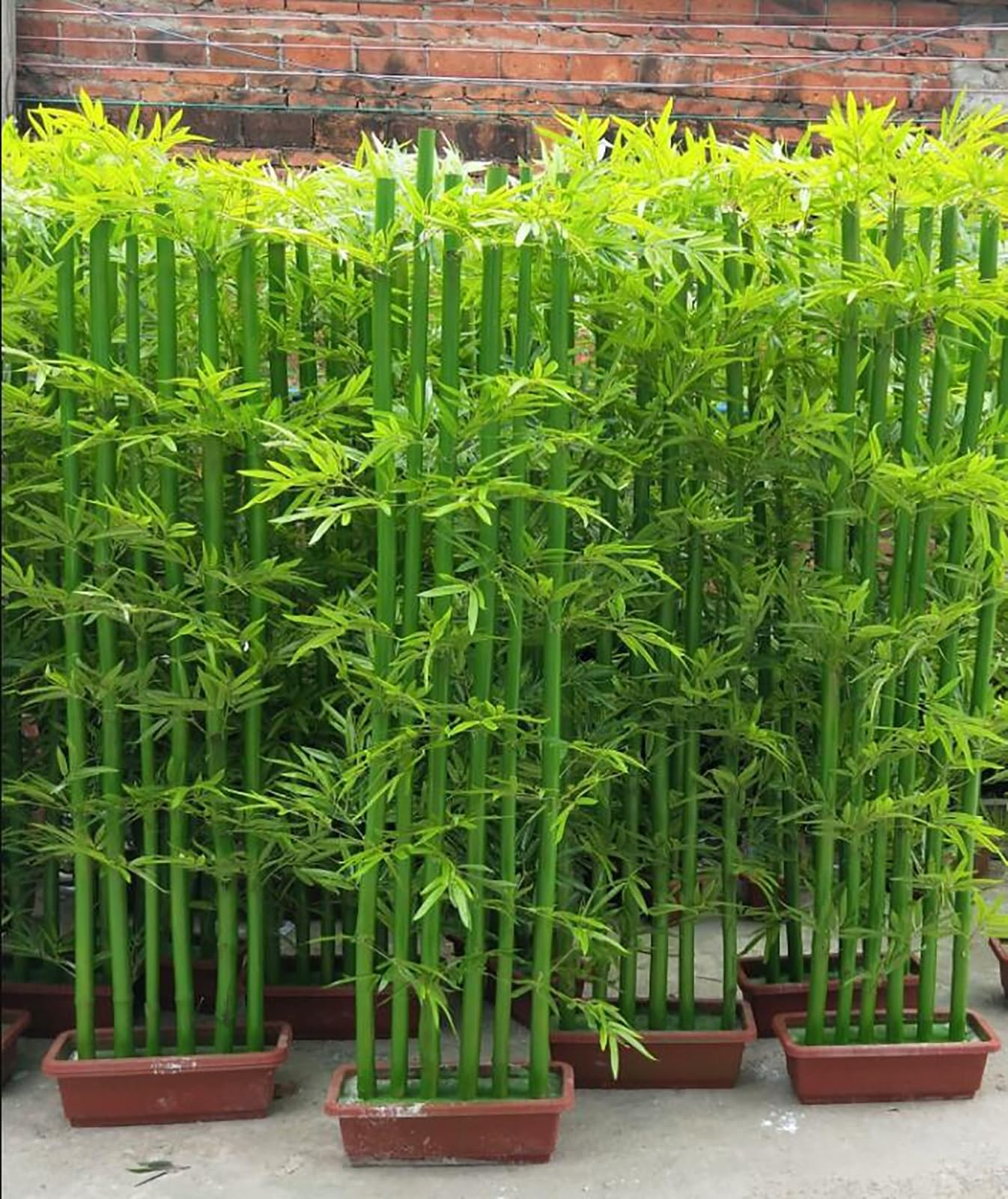 Amazon.de: Knstliche Kunstpflanzen Bambus Sichtschutz, knstlicher Bambus,  7 Stck, knstliche Bambuspflanze, fr Innen- und Auenbereich, Garten,  Restaurant, Hofdekoration Pflanzen ( Color : 7 Pieces , Size