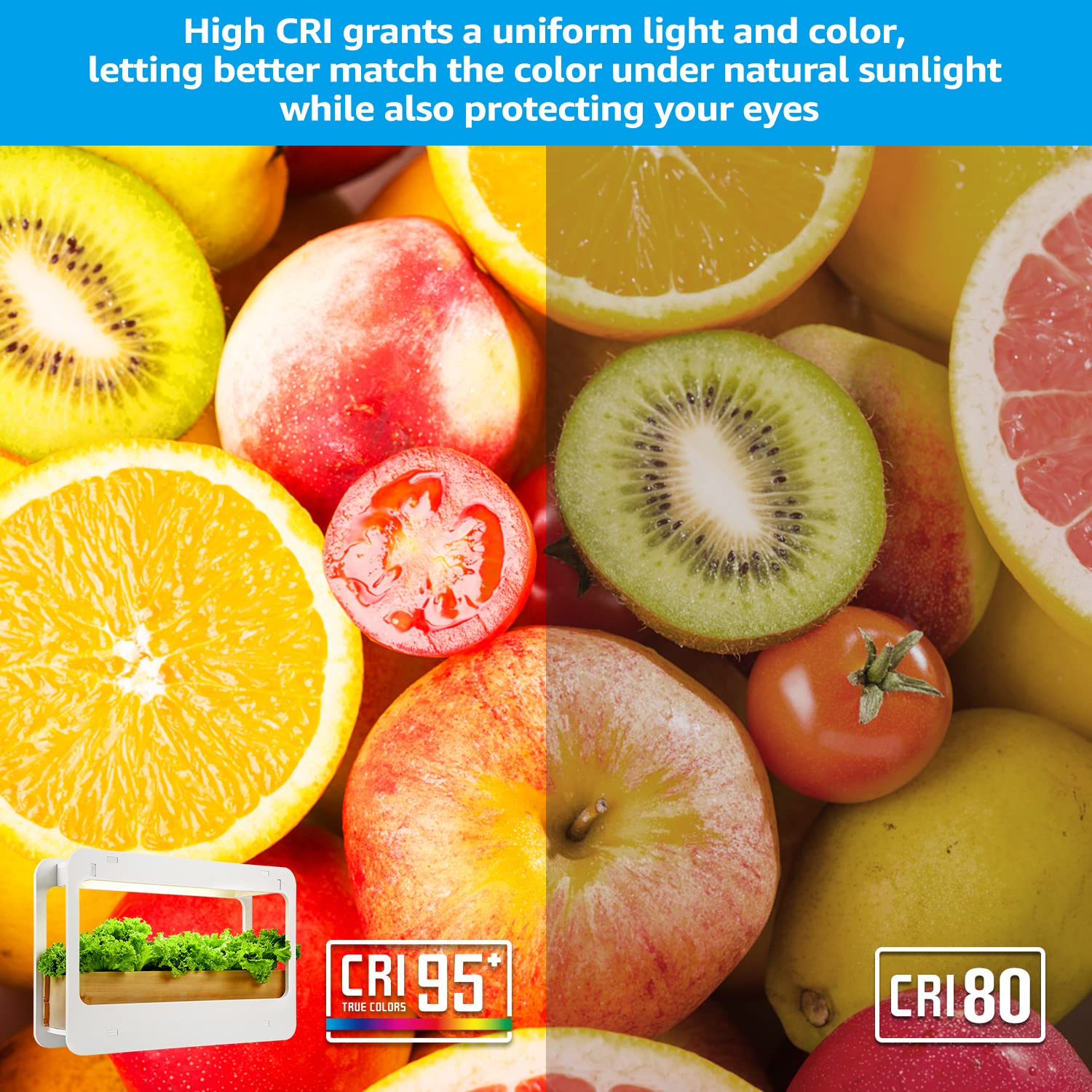 TORCHSTAR LED Indoor Herb Garden, CRI 95+ Full Spectrum Light, 24V