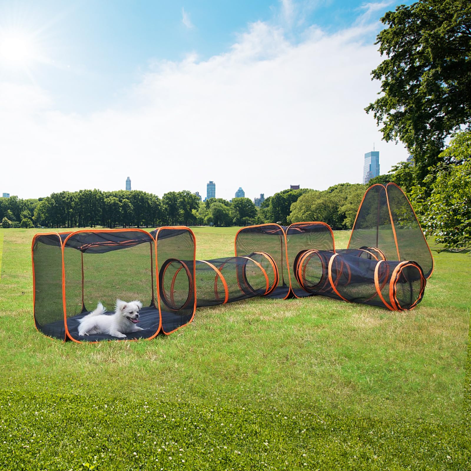 Homegroove Recinzioni per gatti da esterno, 6 in 1, casetta portatile per gatti (tenda per gatti e tunnel circolare per gatti) per gatti e piccoli animali, box interno con borsa per il trasporto