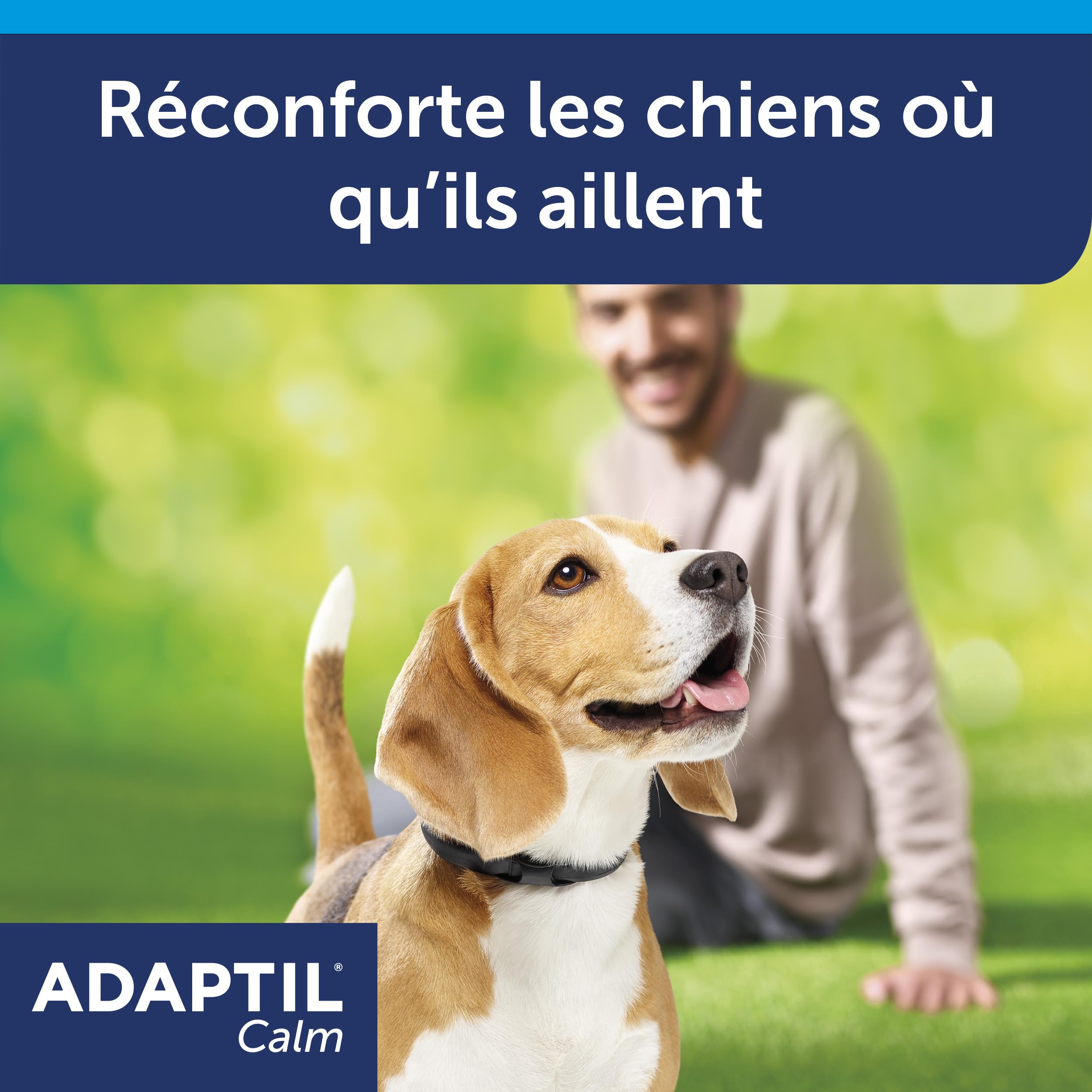 ADAPTIL Calm – Anti-Stress pour Chien – Collier Petits Chiens – Taille S
