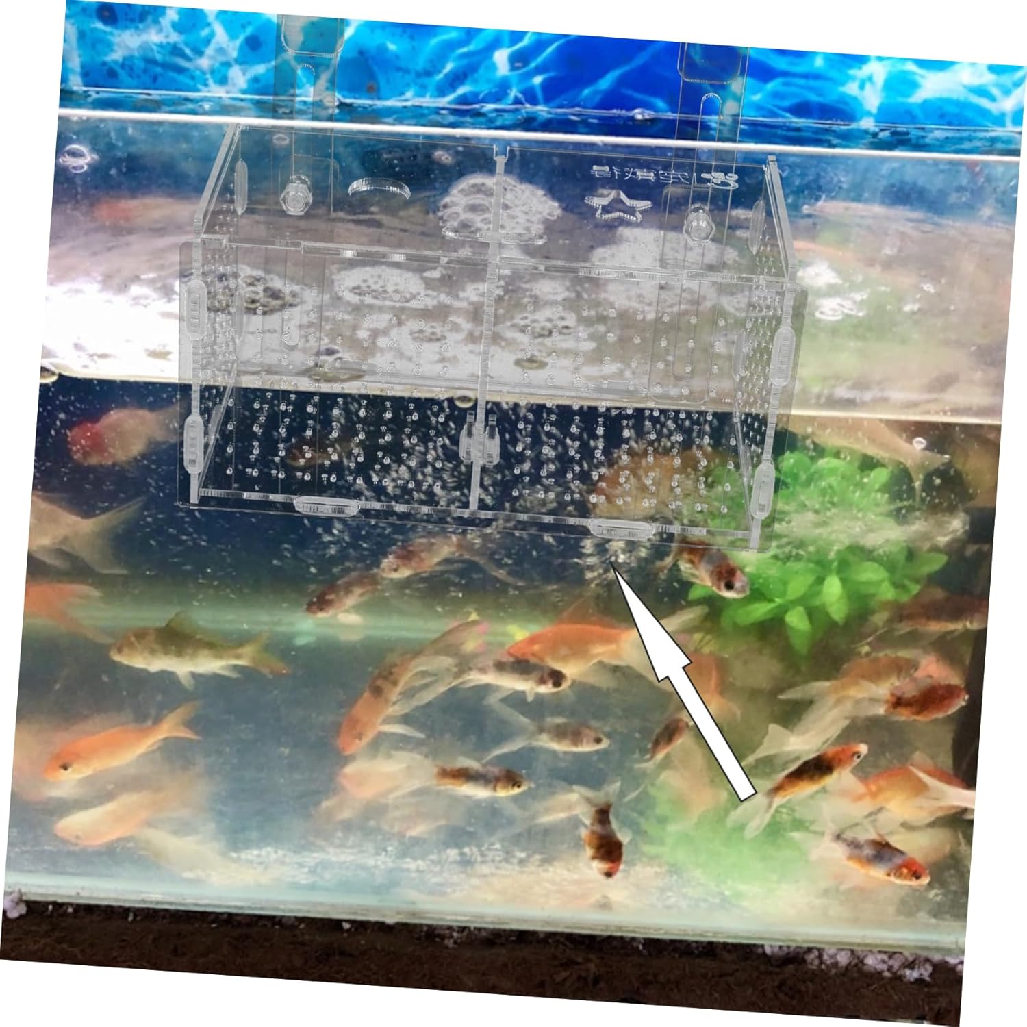 1set Fish Isolation Box Acrylic Breeding Incubator for Betta Fish with Cups Efficient Hatching Box for Home Aquariums Prevents Fry Easy Installation