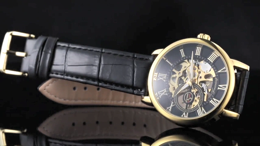 Amazon | TeamSky 腕時計 機械式 メンズ ローマ数字 腕時計 時崎