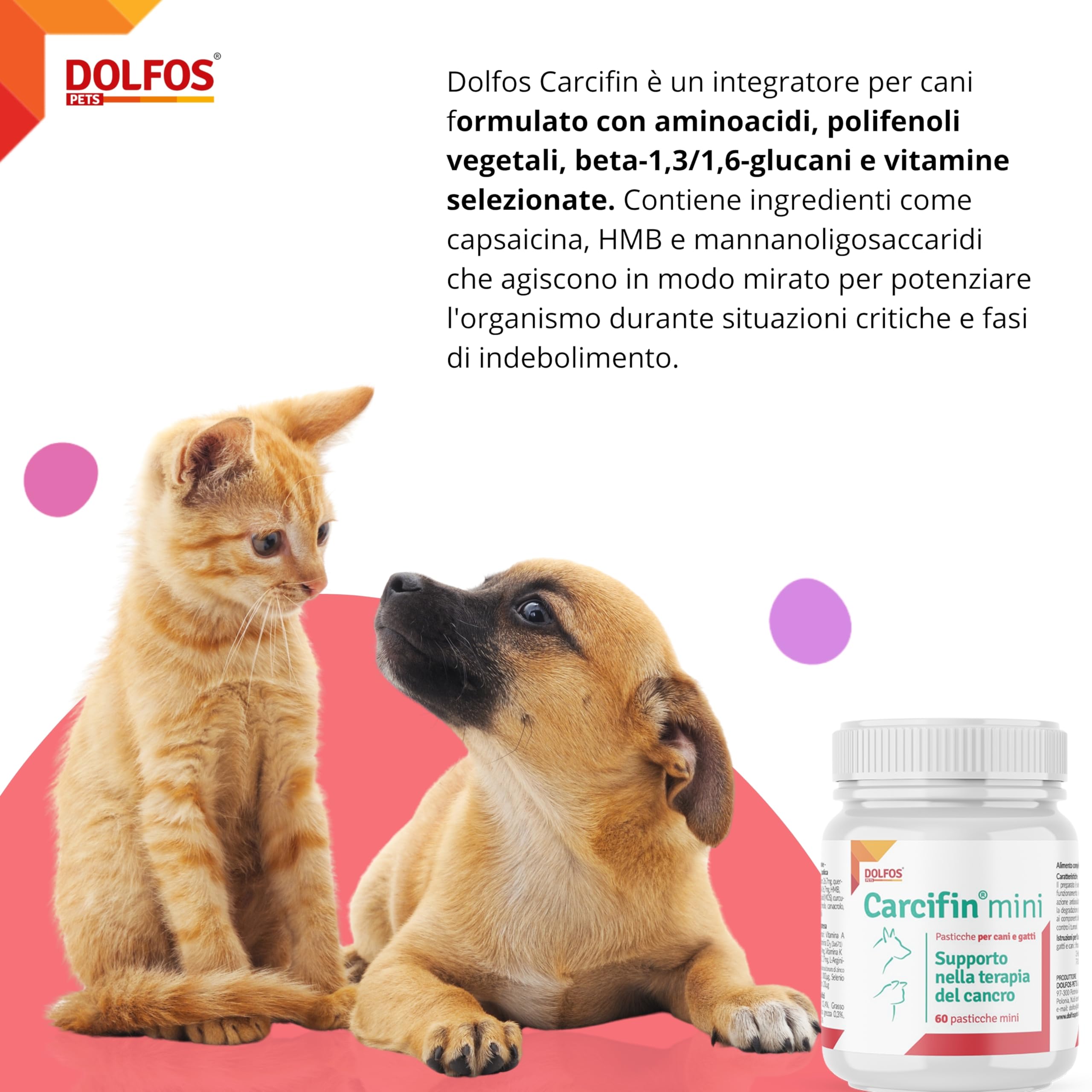 Dolfos Carcifin 60 Mini Compresse, Integratori per Cani Supporto Oncologico con Curcumina e Quercetina, Integratori per Cani Terapia Antitumorale e Sistema Immunitario