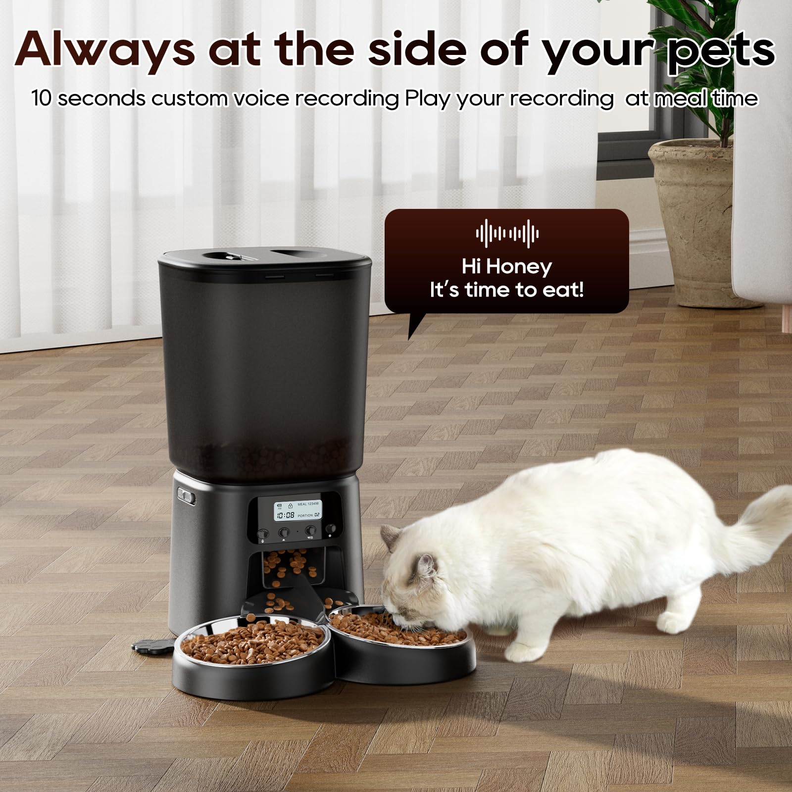 Petrice Automatic Cat Feeder for 2 Cats, 6L/25 Cups Cat Food Dispenser Programmable 30 Portions 6 Meals per Day, Timed Pet Feeder for Kitty Small Dogs with 10S Voice Record, Easy Setup, Black - image 6