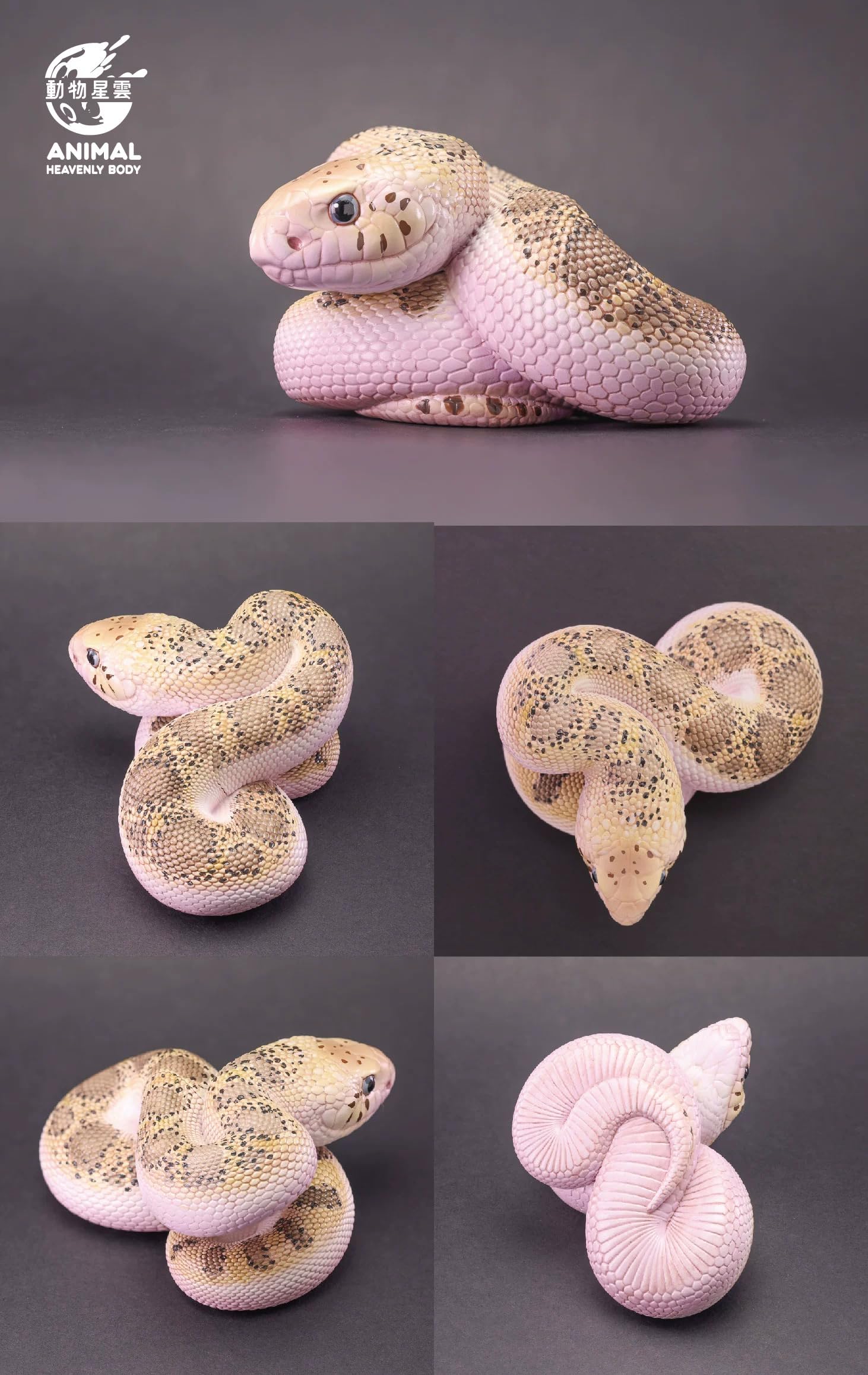 新品　動物の惑星 アニマルプラネット　テキサスラットスネーク　リューシ　正規品 動物の惑星】テキサスラットスネーク（リューシスティック