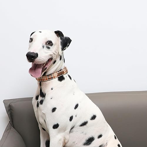 Miniatura 8 de Lionet Paws Collar de perro para niño, cómodo y ajustable, lindo collar a cuadros naranja con hebilla de metal para perros machos, XL, cuello de 16