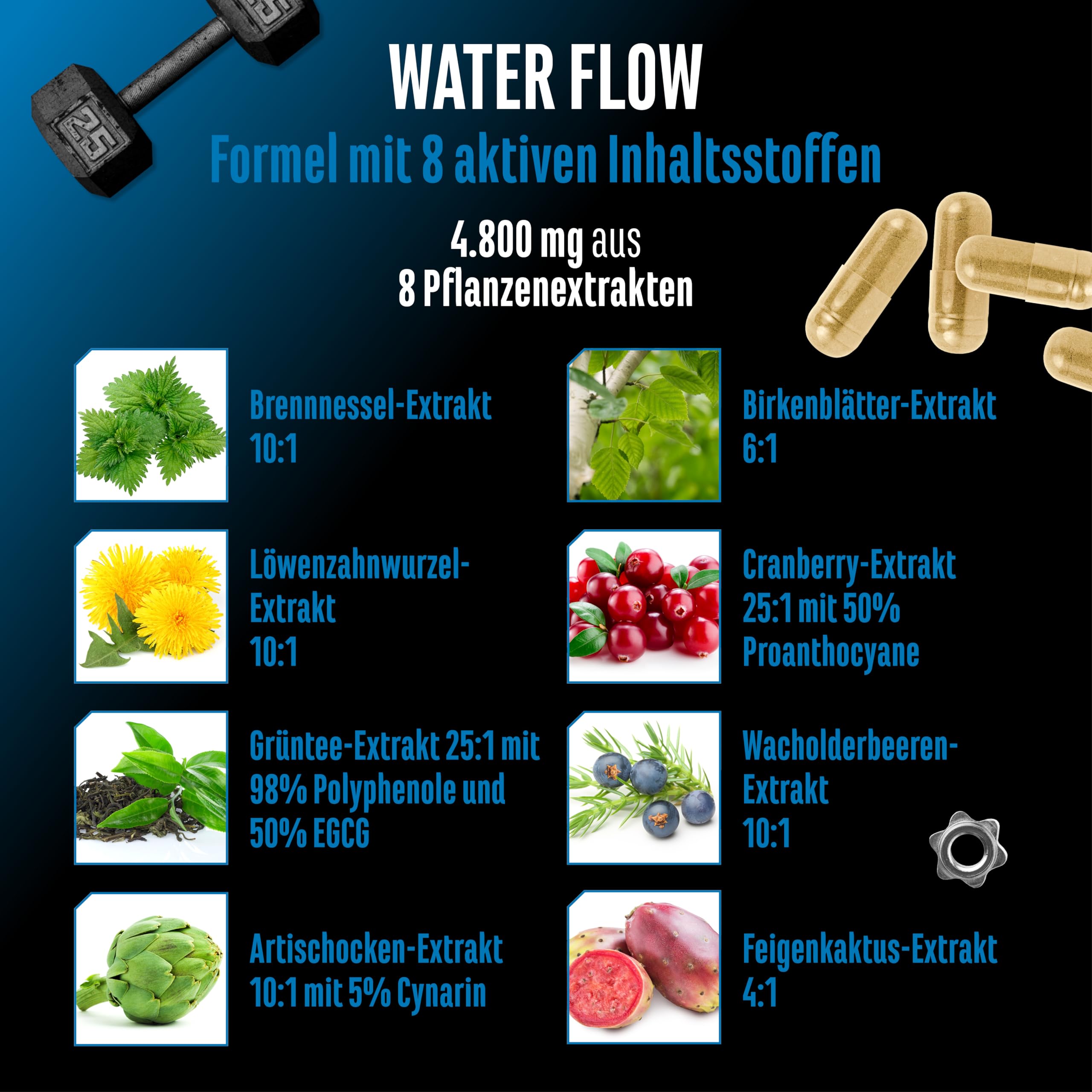 GEN GERMAN ELITE NUTRITION Water Flow Komplex - 180 Kapseln - vegan | mit 8 Pflanzenextrakten, mit Brennnessel, Löwenzahn, Grüntee, Cranberry & Artischocke, vegan & hochdosiert