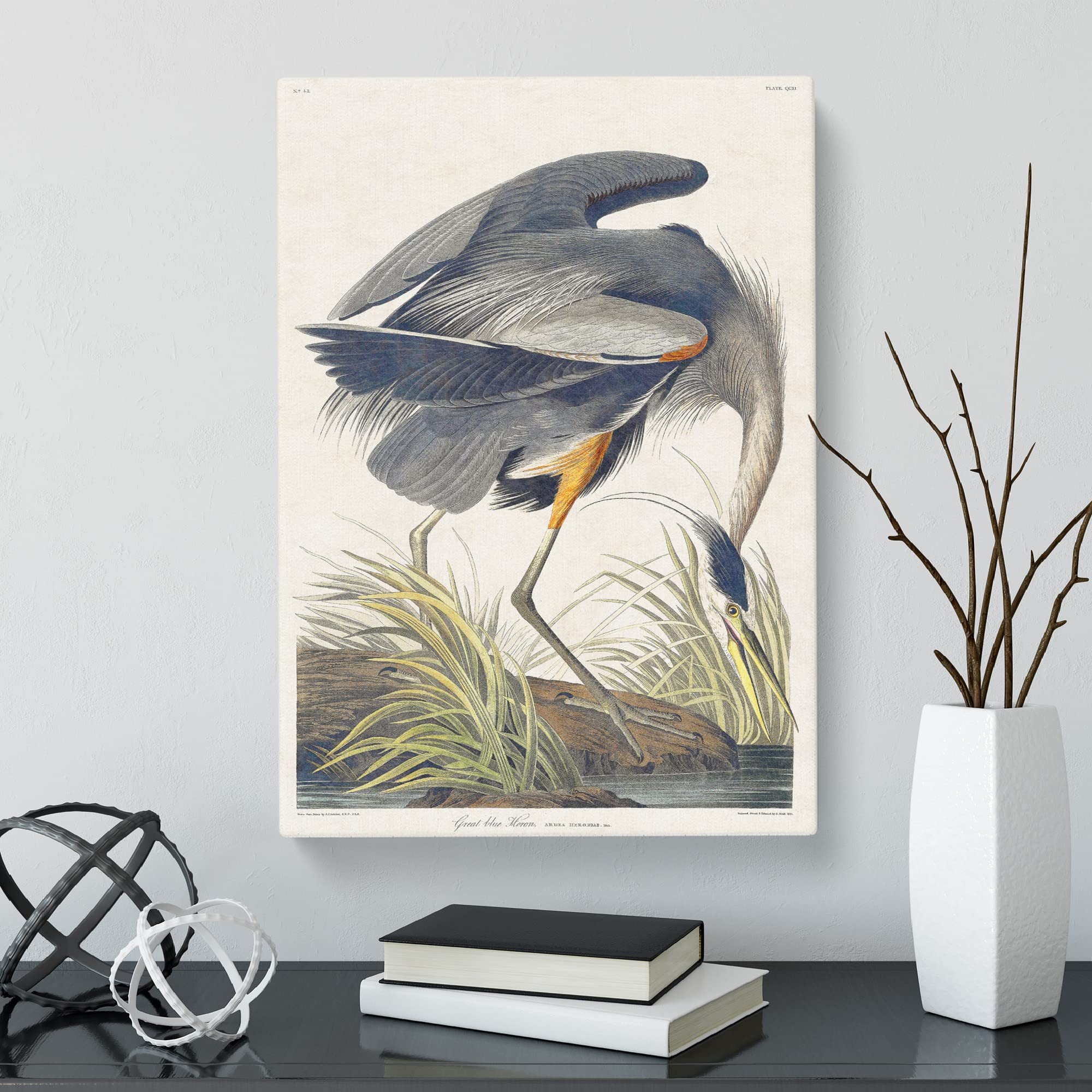 Great Blue Heron By John James Audubon Canvas Print, Mixed, 25L x 50W cm - Image 2