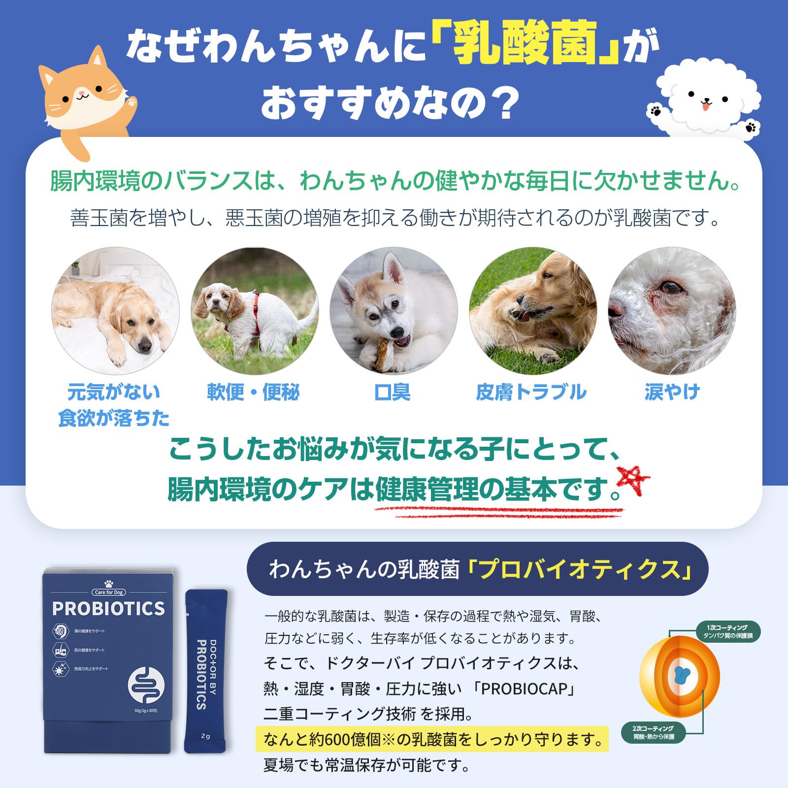 Amazon.co.jp: 【獣医師監修】ドクターバイ プロバイオティクス 犬用