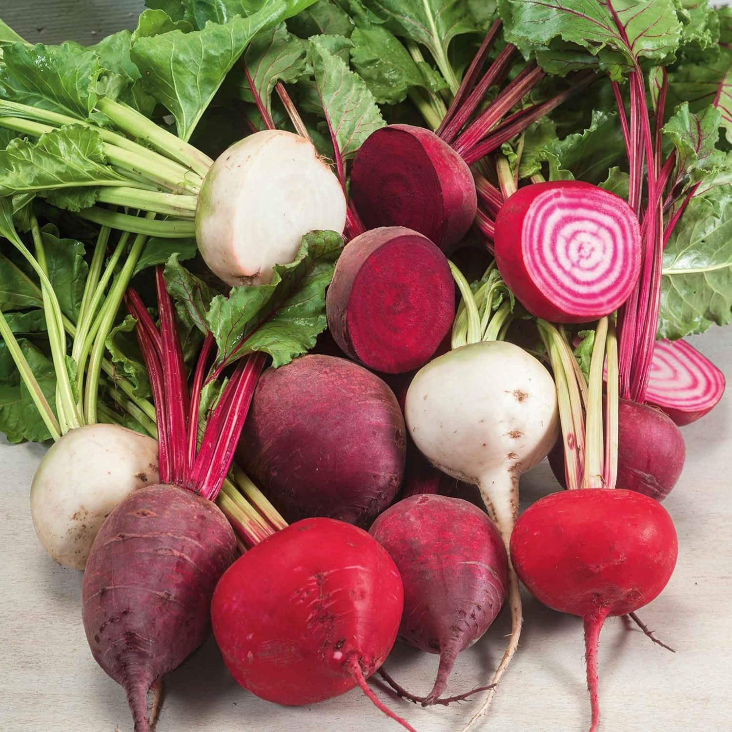 Eden Brothers Beet Seeds - Rainbow Mix Non-GMO Seeds for Planting, 1 Ounce | Low-Maintenance Vegetable Seeds, Plant During Warm Season, Zones 2, 3, 4, 5, 6, 7, 8, 9, 10