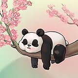 Cute Panda Wallpapers