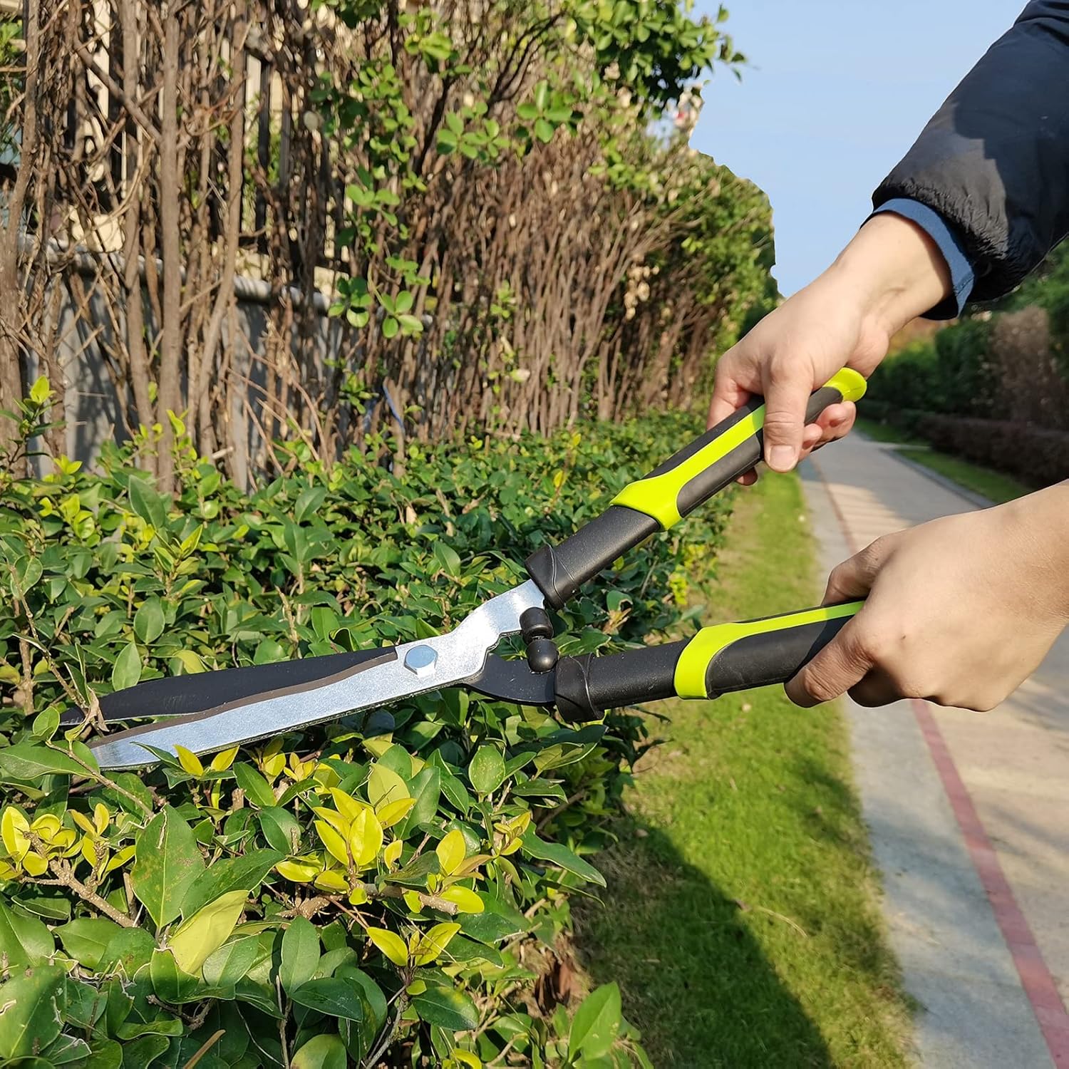 Hedge Clippers Shears Hedge Shears for Trimming Borders, Garden Tools 20 Inch Hedge Clippers, Bush Cutters Trimmer with Sharp Wavy Blades, Garden Shears for Hedges : Patio, Lawn & Garden