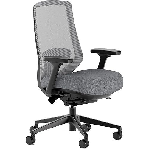 Branch Ergonomic Chair Pro - Mesh Office Chair with 14 Points of Adjustment - Height, Depth & Tilt Adjustable - 5D Armrests - Forward Tilt, Smooth Recline, and Lumbar Support - Boulder
