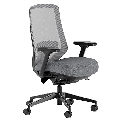 Branch Ergonomic Chair Pro - Mesh Office Chair with 14