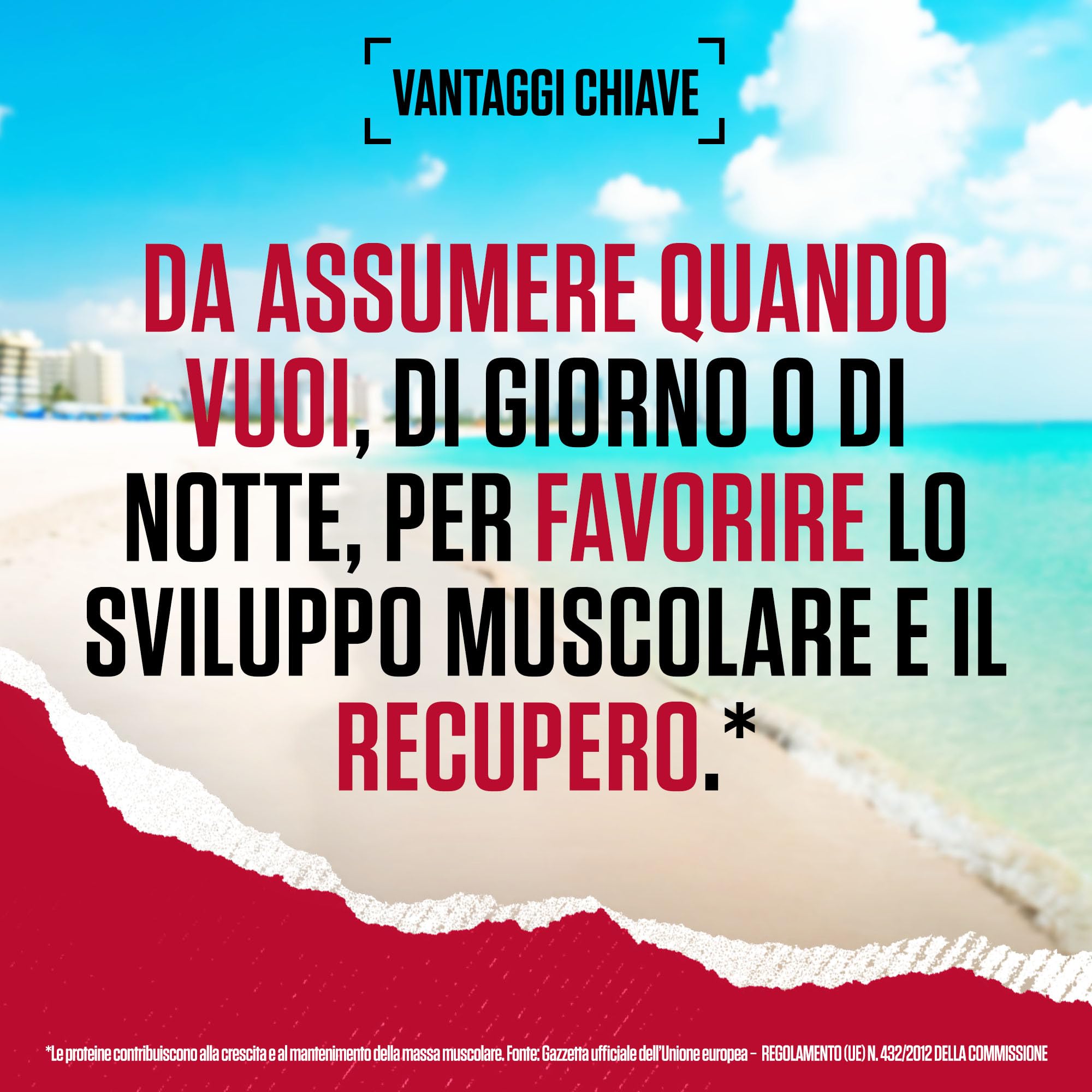 BSN Nutrition Syntha 6 Edge, Proteine in Polvere Whey Isolate con BCAA, Basso Contenuto di Carboidrati e Zuccheri, Integratore per la Crescita Muscolare, Gusto Cookies e Crema, 48 Porzioni, 1.87 kg