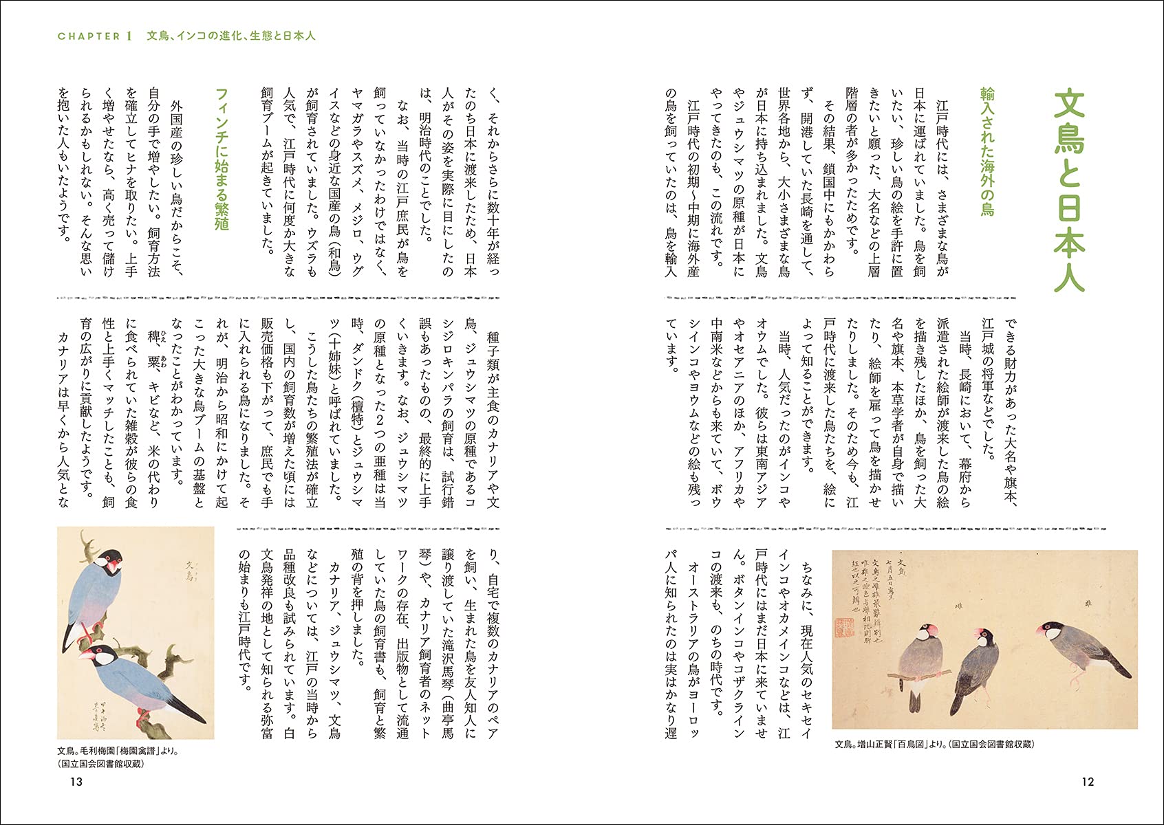 くらべてわかる 文鳥の心 インコの気持ち 暮らしと体の構造からひもとく 小鳥たちの心のうち 細川 博昭 ものゆう 本 通販 Amazon