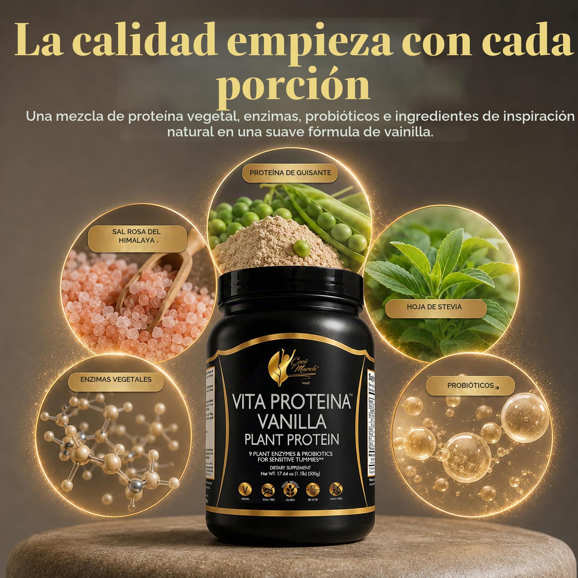 Cocó March NMD Vita Protein – Proteína vegetal vegana sabor vainilla con enzimas digestivas y probióticos, 20 g por ración – Sin gluten, soja, OMG ni lácteos – 500 g