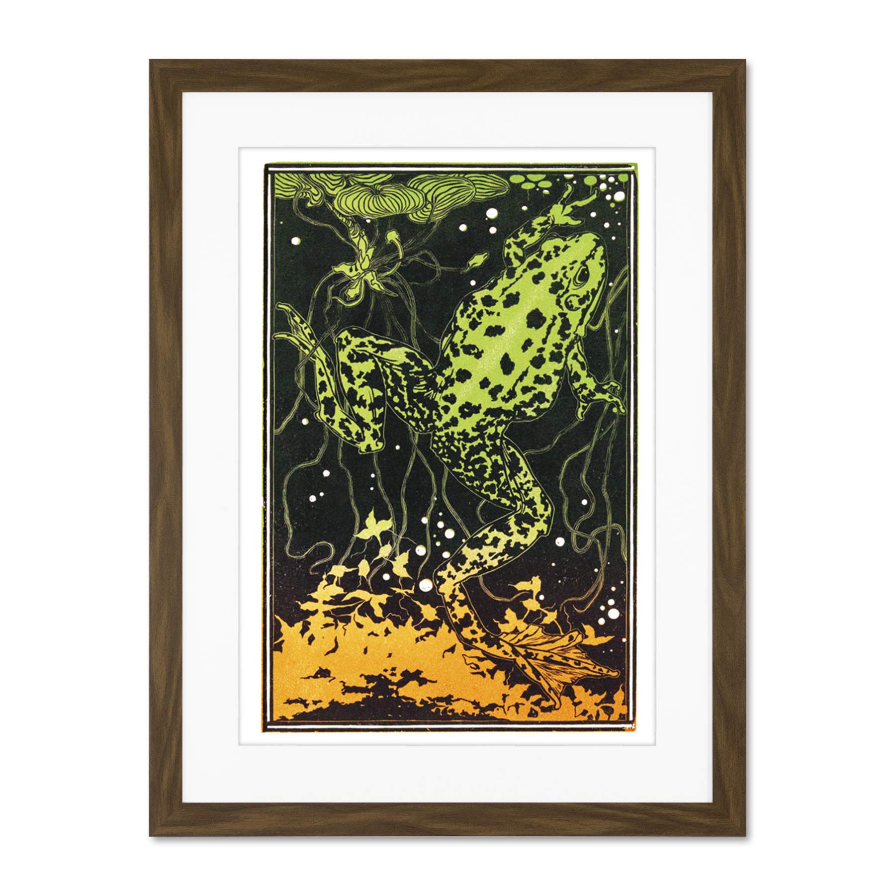 Wee Blue Coo Swimming Frog Julie De Graag Large Framed Art Print Wall Poster 18x24 inch