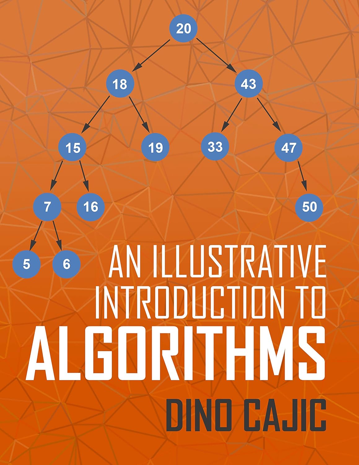 Amazon.com: An Illustrative Introduction to Algorithms eBook : Cajic ...