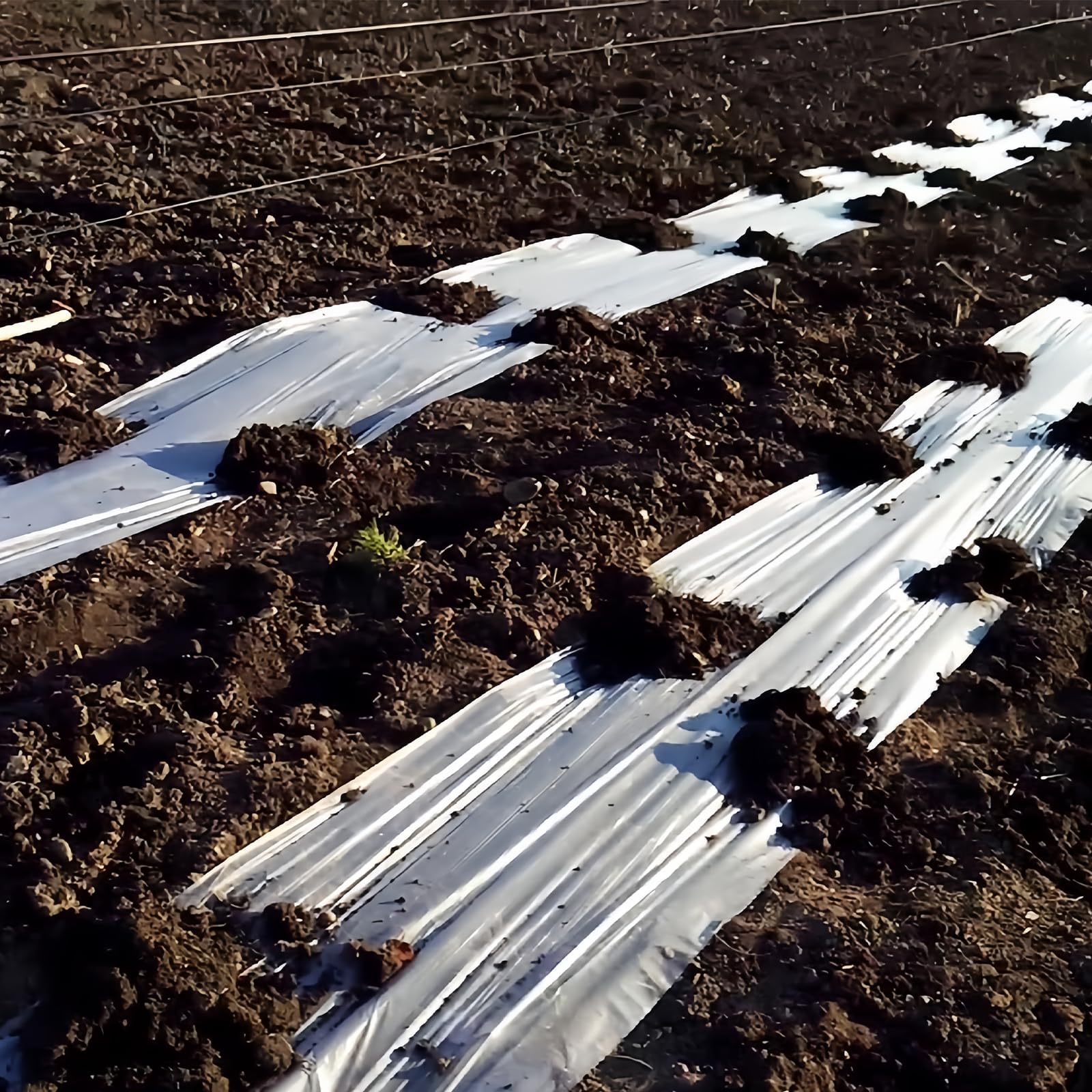 BAIFULAI 8 láminas reflectantes para plantas, película reflectante para plantas, película de Mylar, lámina reflectante plateada, 160 cm x 210 cm para plantas, espacio de crecimiento, camping, tienda