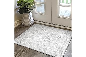 2X3 Washable Entry Rug: A Lavish Welcome to Your Home's Threshold