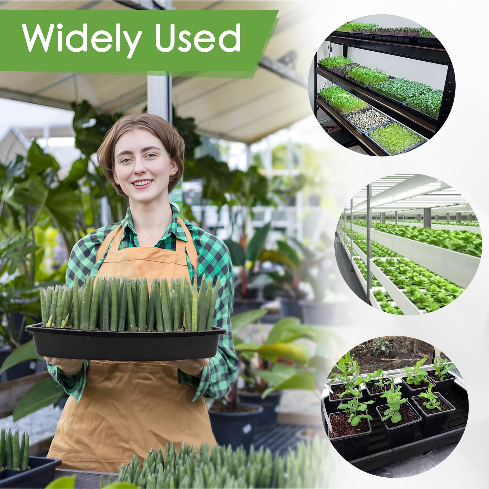 Paquete de 6 bandejas de cultivo de microgreens con 12 alfombrillas de cultivo de fibra de cáñamo para plantas, 15 x 11 x 2.5 pulgadas, kit de cultivo de semillas de jardín para plántulas, cultivo de