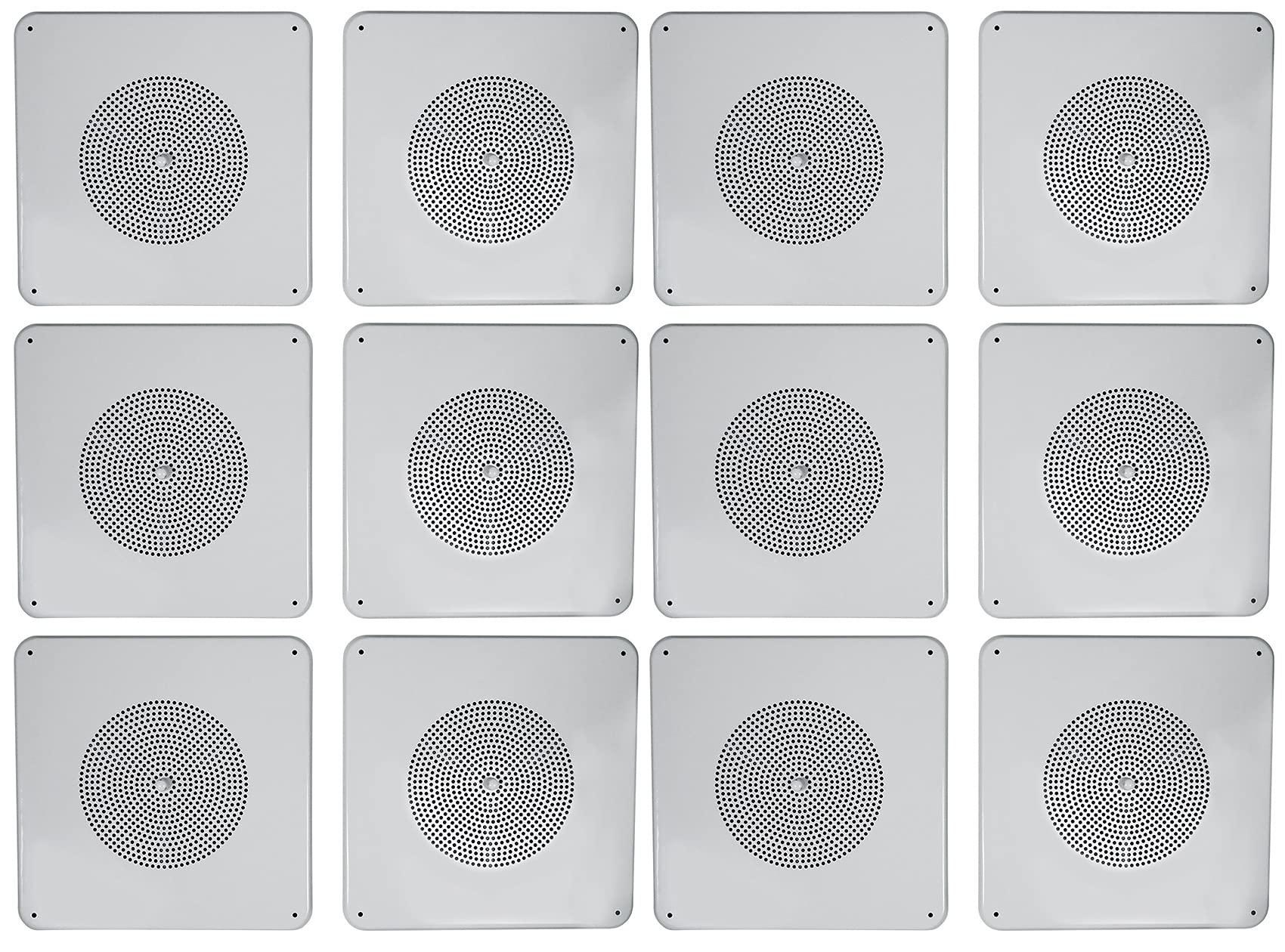 Rockville (12) MS81 Metal 8