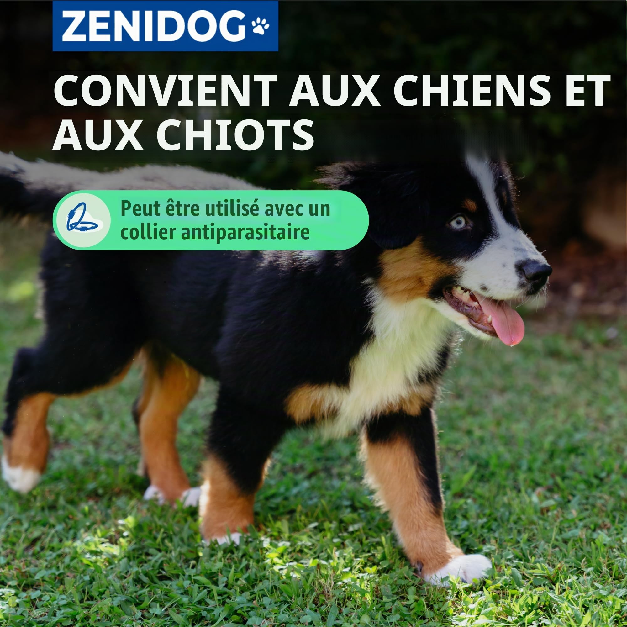 Virbac Zenidog Collier Apaisant pour Moyen et Grand Chien - Collier Chien apaisant Phéromones - Bien-être