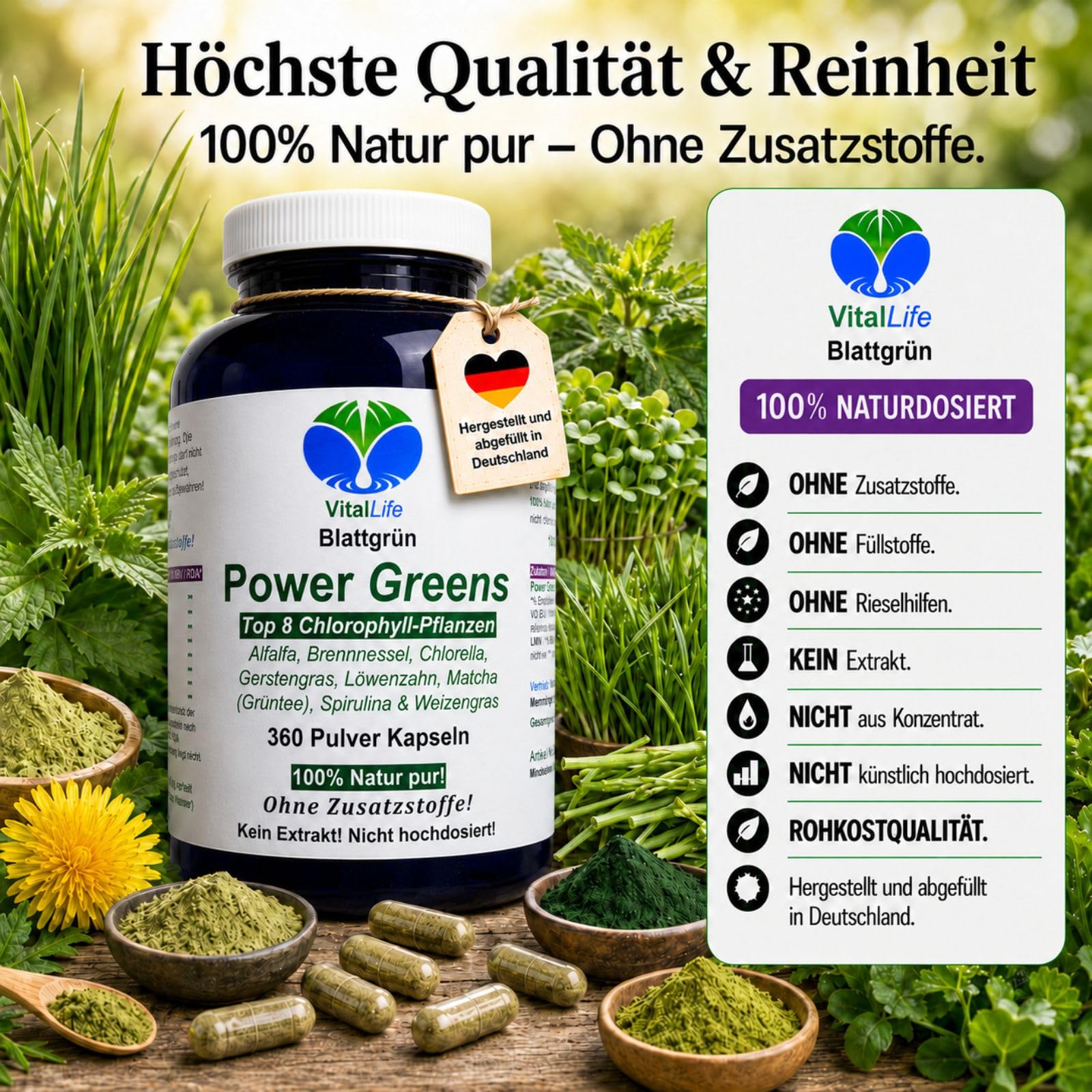 Green Power Greens Top8 Chlorophyll Supergreens 360 Pulver Kapseln mit Alfalfa Brennnessel Chlorella Gerstengras Löwenzahn Matcha Spirulina Weizengras. Natur pur. Ohne Zusatzstoffe. 26333-360