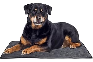 Tough Dog Beds for Large Dogs - Chew Proof, Waterproof, and Washable