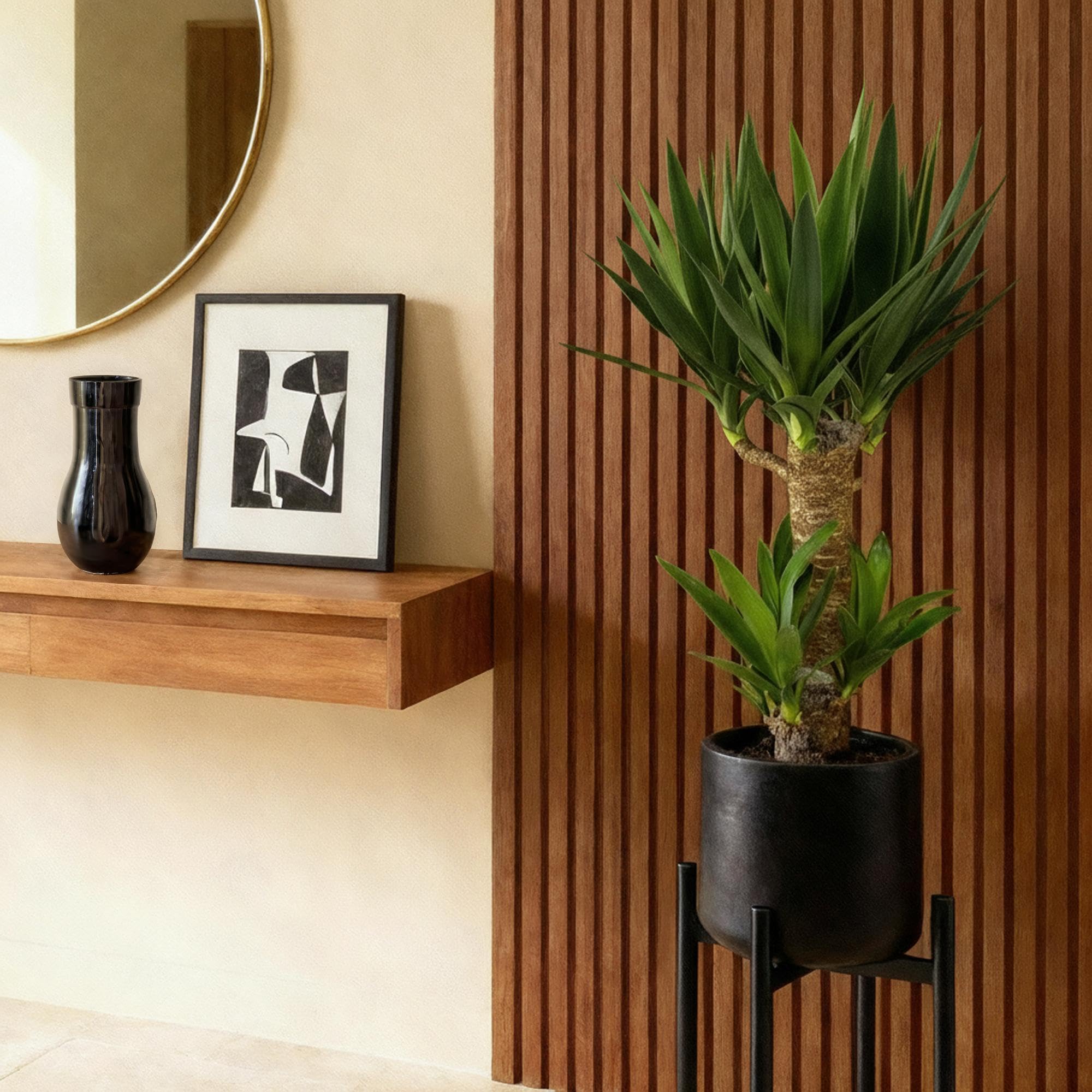 Giglio di palma Yucca Elephantipes – 75 cm – 17 cm – Giglio di palma facile da pulire con foglie verdi strette – Pianta robusta e purificante dell'aria per interni moderni