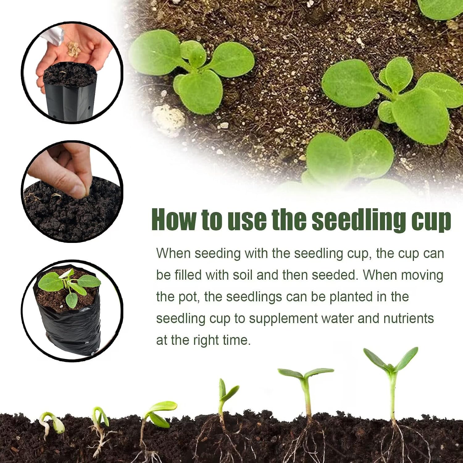 DredQcco 100PACK Plant Grow Bags,Thicken PE Seedling Bag Fruit Tree Seedling Cup Bonsai Planting Bag with Breathable Holes for Garden Black Planting Bags Nursery Bags (4.7'' Dia x 8'' H)