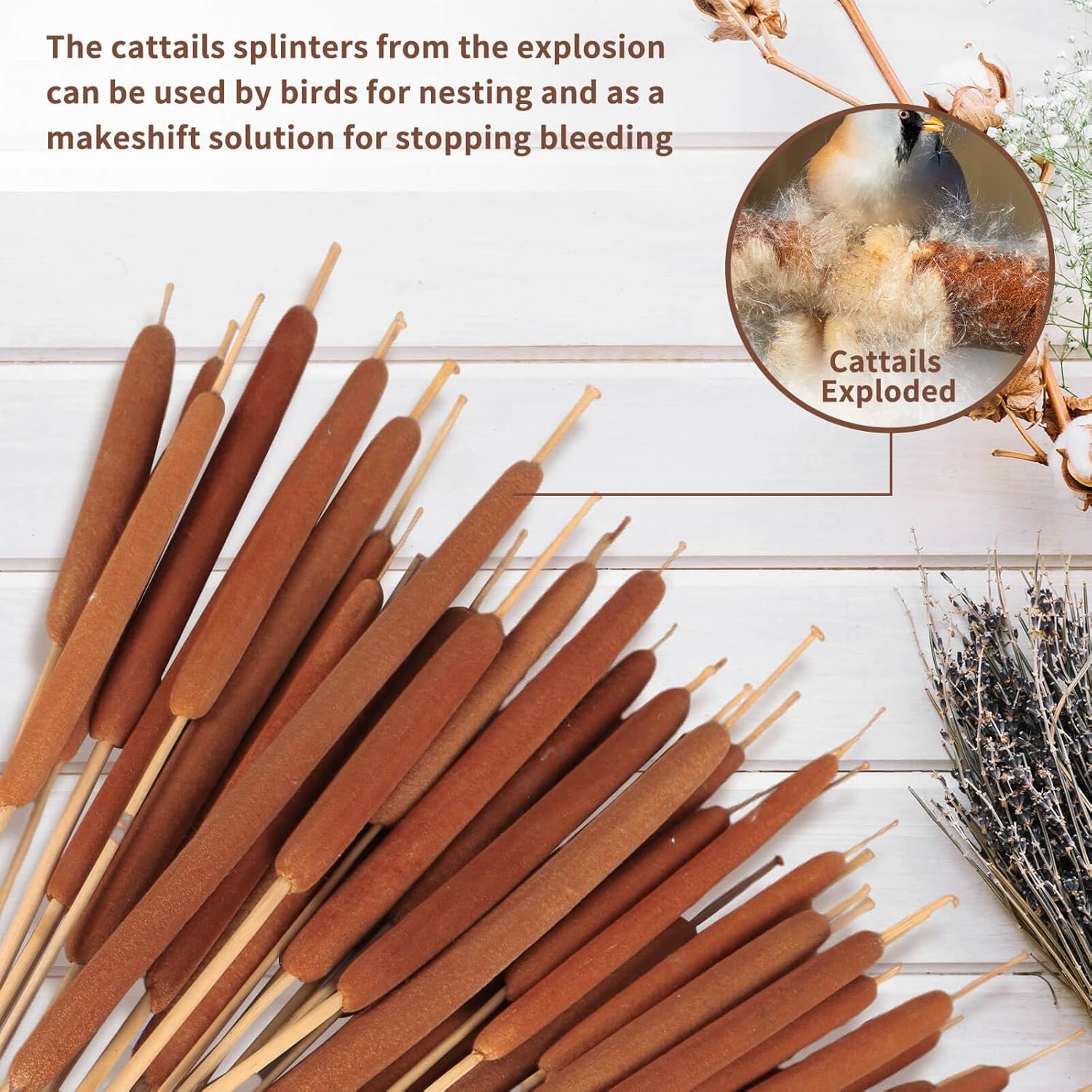 45pcs Large Natural Brown Cattails Bundles - Dried Flowers Real Cat Tails for Decorating, 17'' Jumbo Cattail Bulrush Plants Floral Stems Artificial Pampas Grass Arrangements Wedding Home Farmhouse