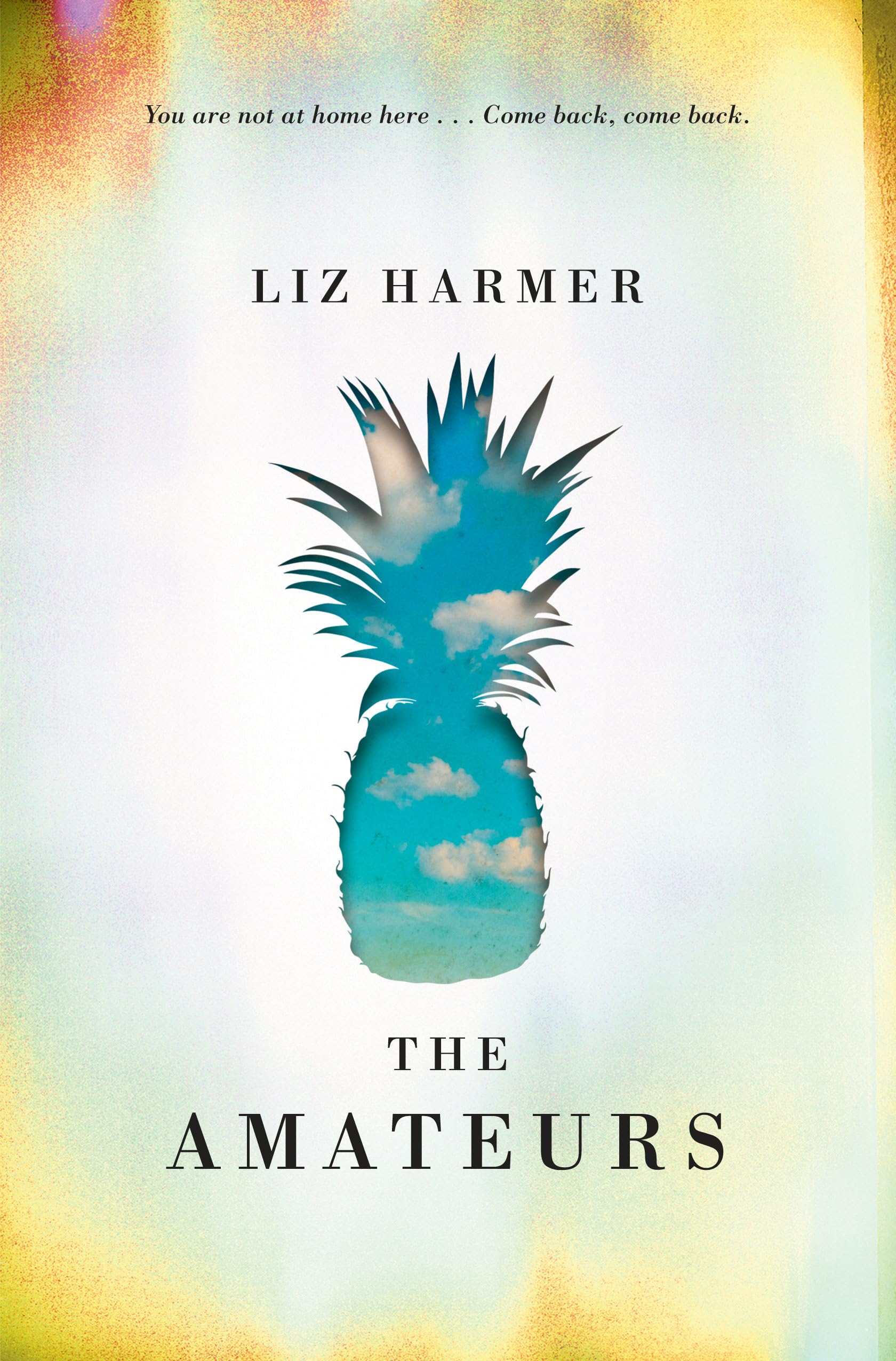 Buy The Amateurs — BookShops.in