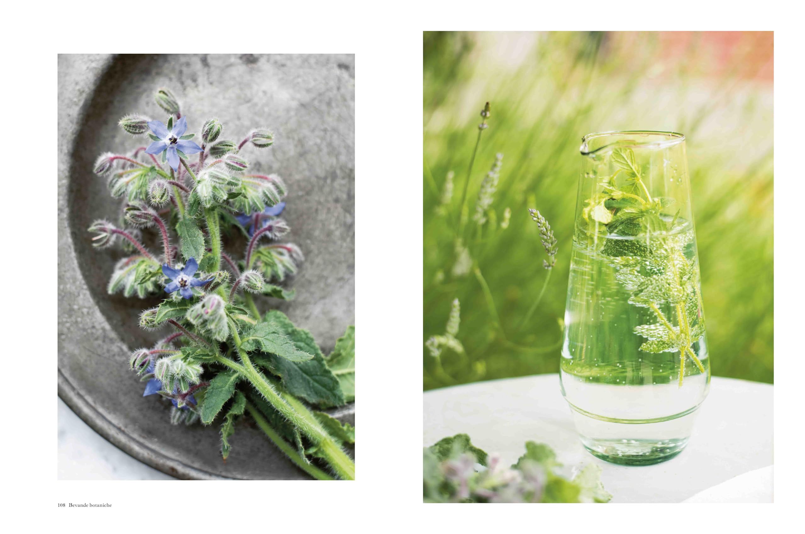 Bevande botaniche. Come usare l'alchimia delle piante per creare bevande che depurano, curano, rilassano e rinvigoriscono