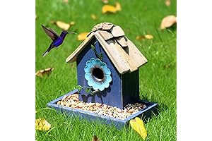 Bird House and Feeder Combo: Attract Backyard Birds and Delight Your Senses