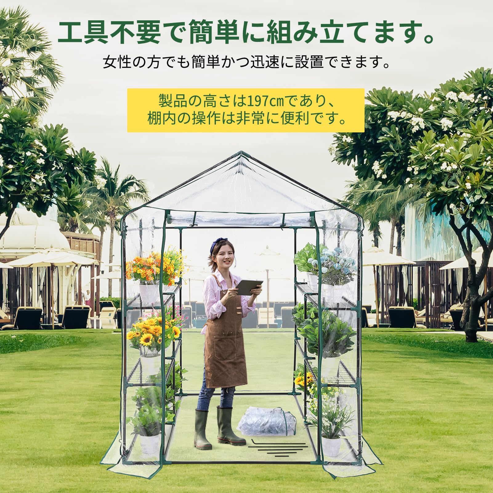 Amazon.co.jp: ガーデンハウス 家庭菜園 0.6坪 ビニールハウス