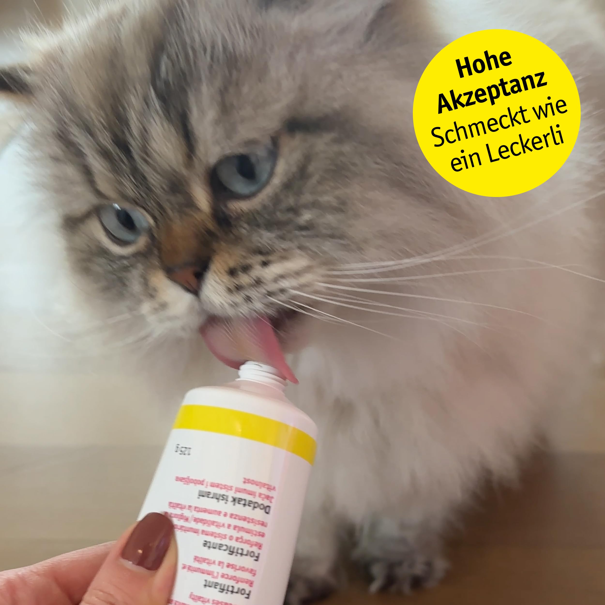 Anima Strath Paste für Katzen und Hunde - (125g) Ergänzungsfutter mit Kräuterhefe, 61 Mikronährstoffen Vitaminen & Mineralstoffen, tägliche Fütterung & Fellpflege